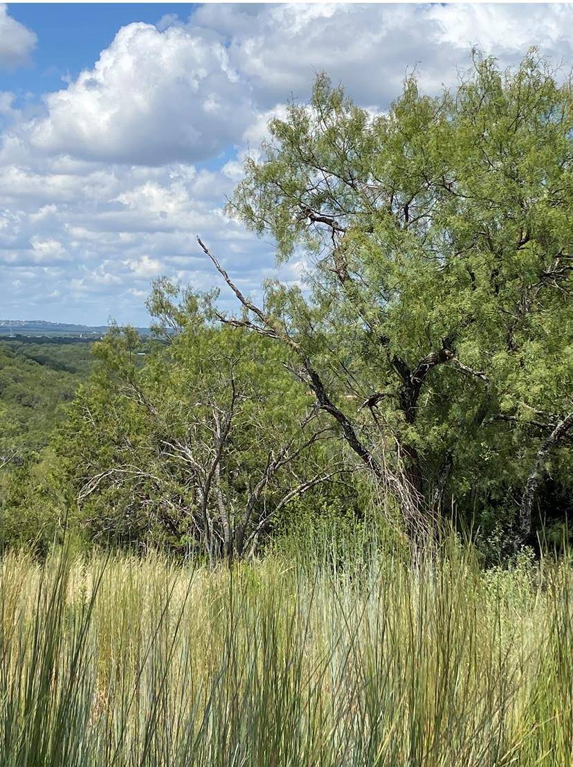 Spicewood, TX 78669,329 Kendall ST