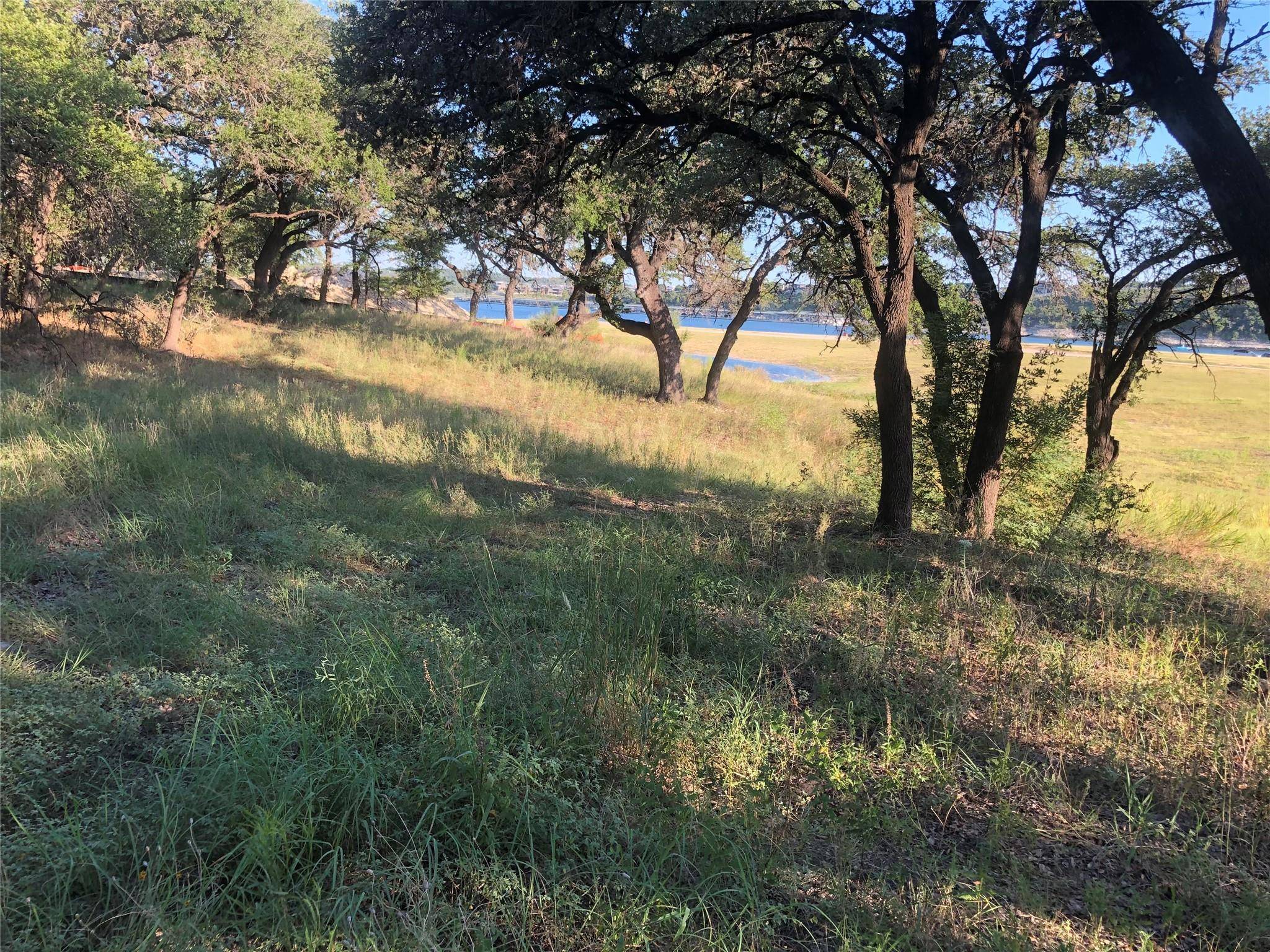 Leander, TX 78645,2703 Custer CV