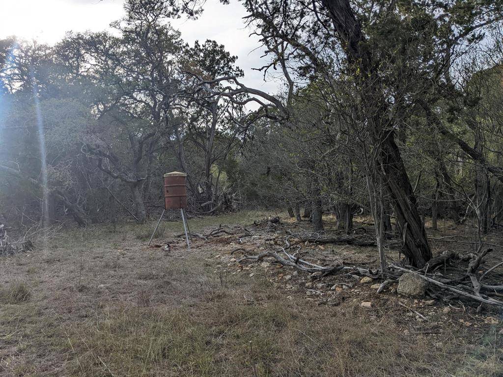 Bandera, TX 78003,Lot 52 Clearwater Canyon RD