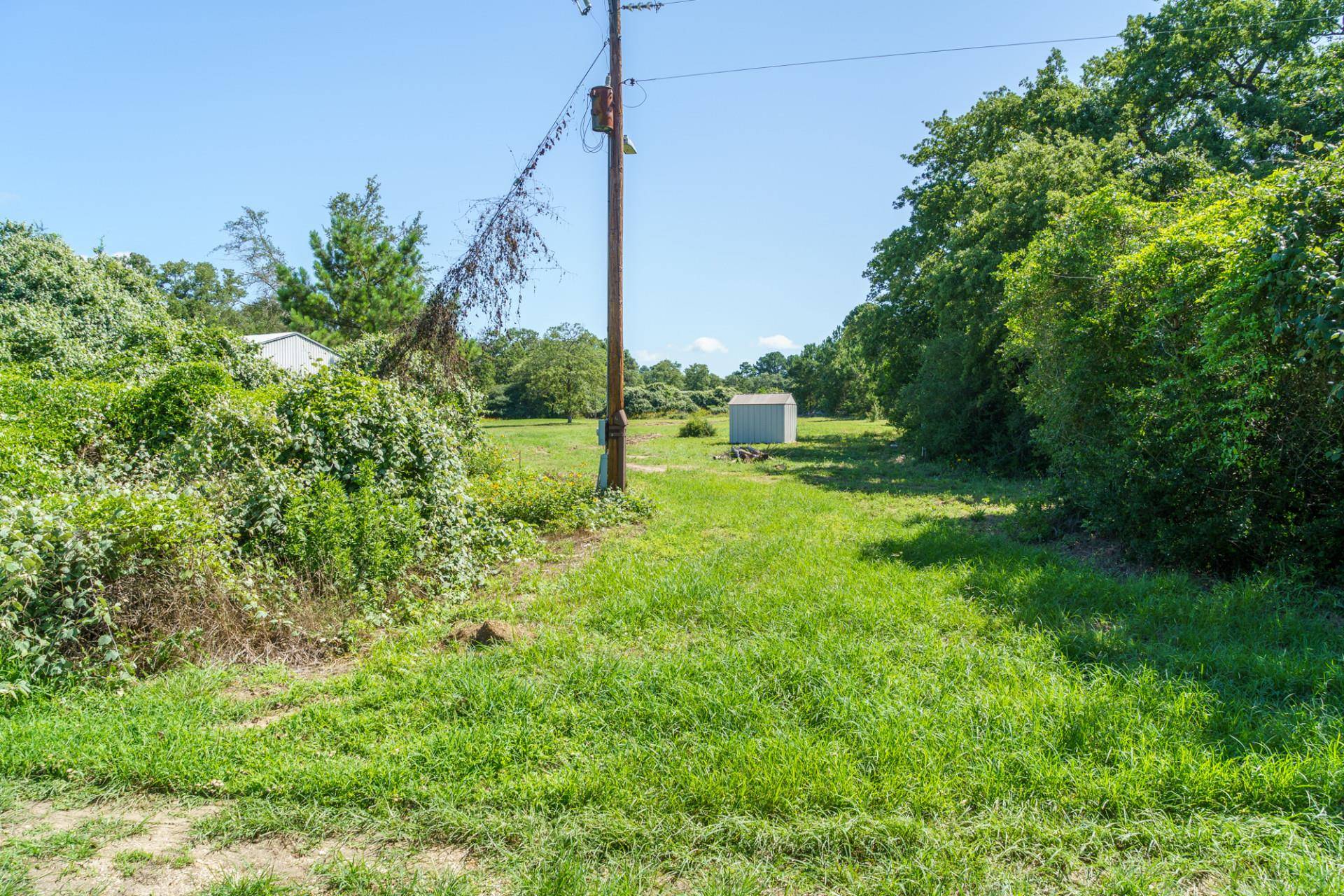 Paige, TX 78659,152 Palamino CT