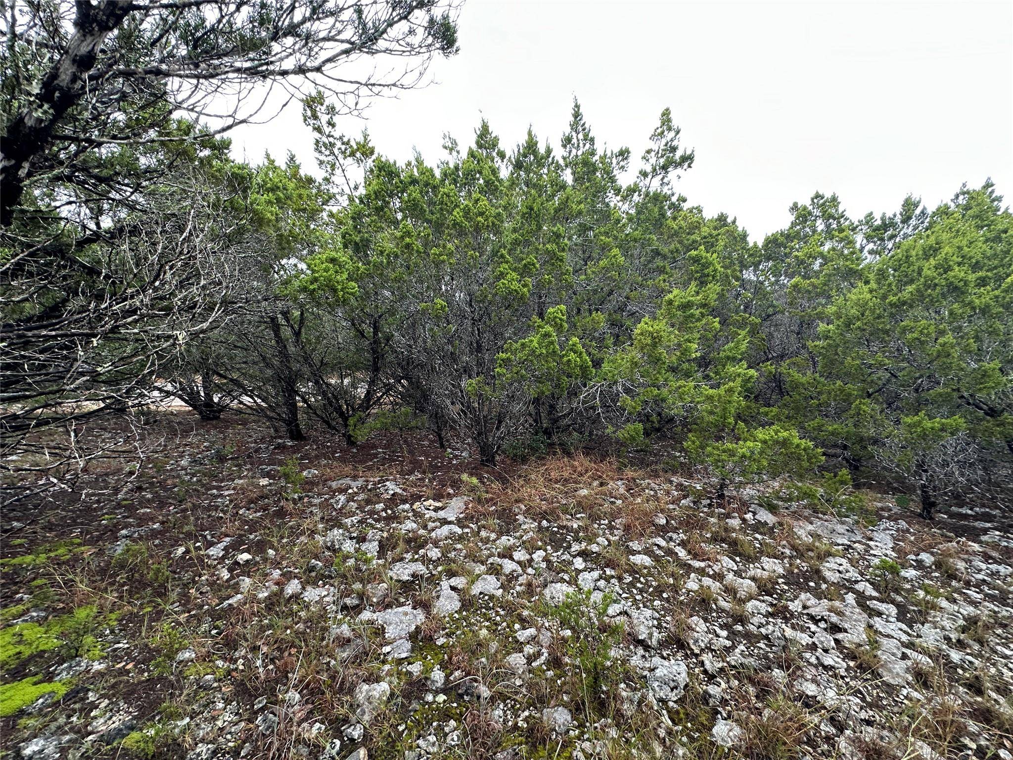 Lago Vista, TX 78645,8413 Angus TRL