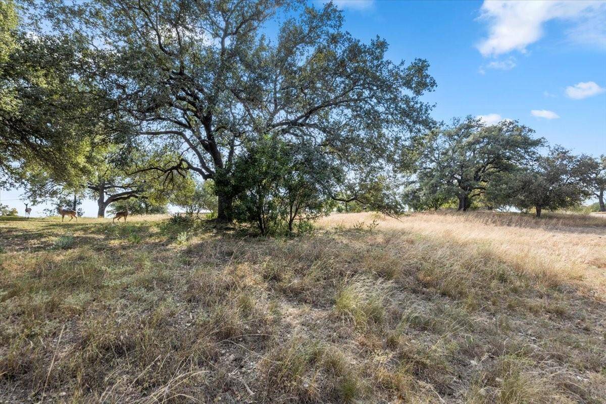 Spicewood, TX 78669,24014 Haynie Flat RD