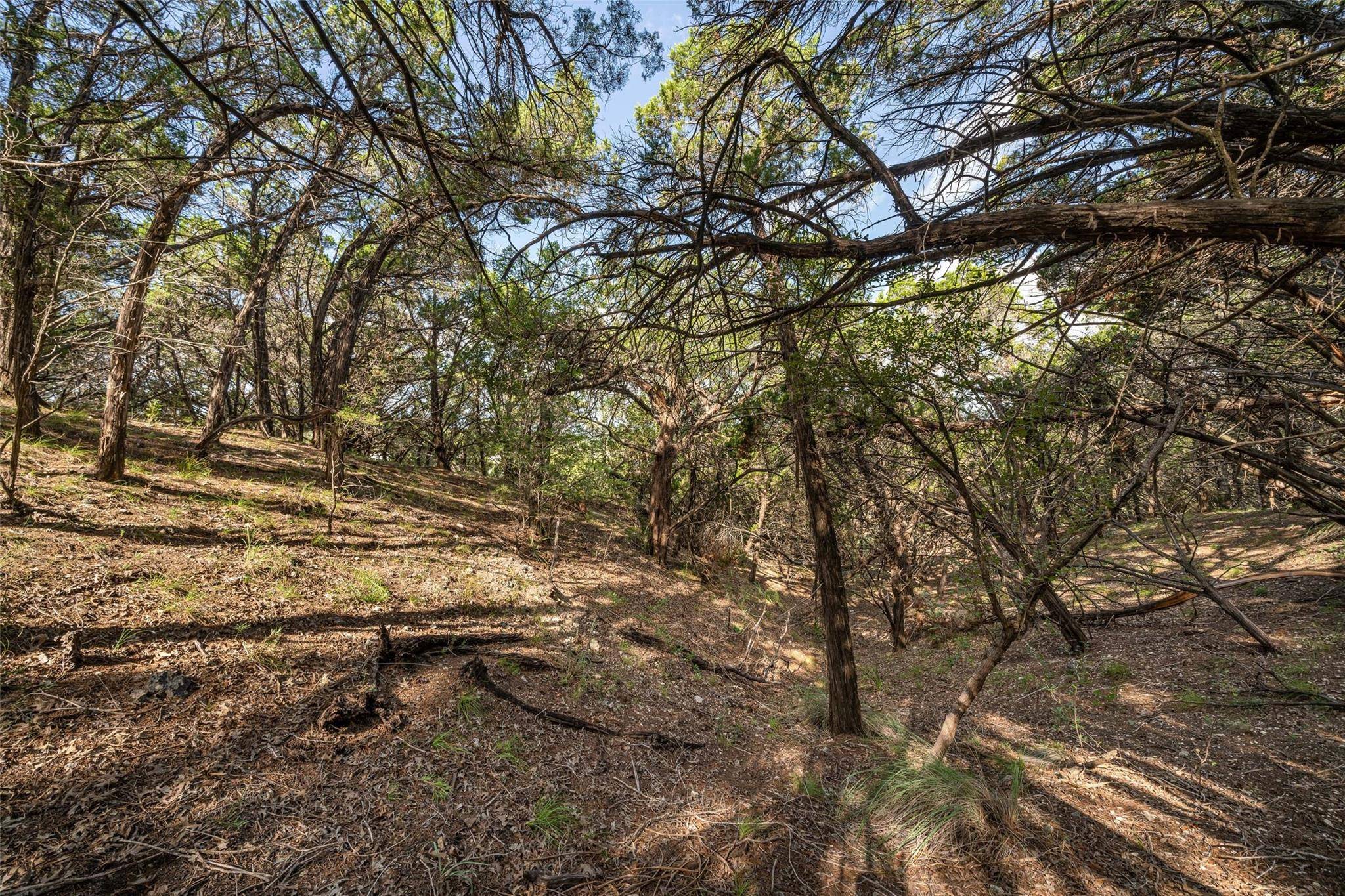 Lago Vista, TX 78645,7900 Arapaho TRL