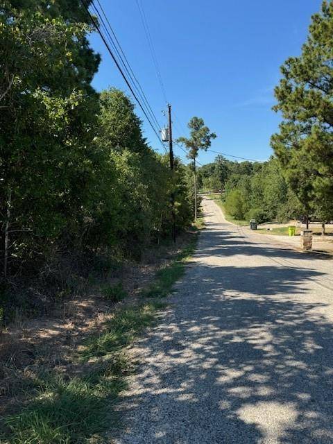 Bastrop, TX 78602,Lot 1355 N Kaupo DR