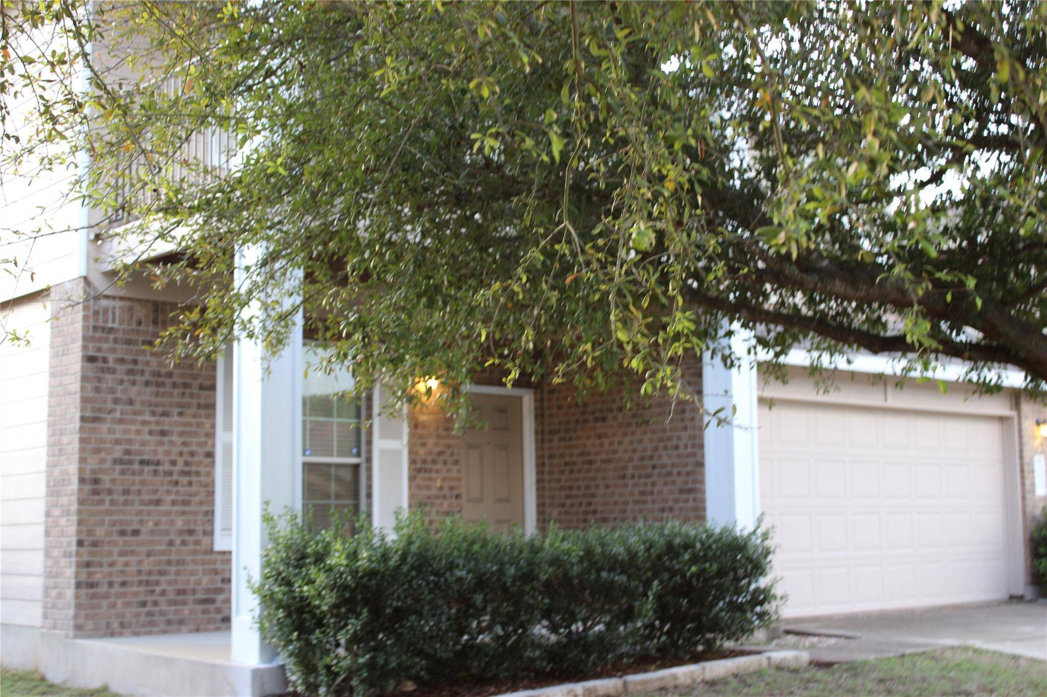 Elgin, TX 78621,18354 Basket Flower BND