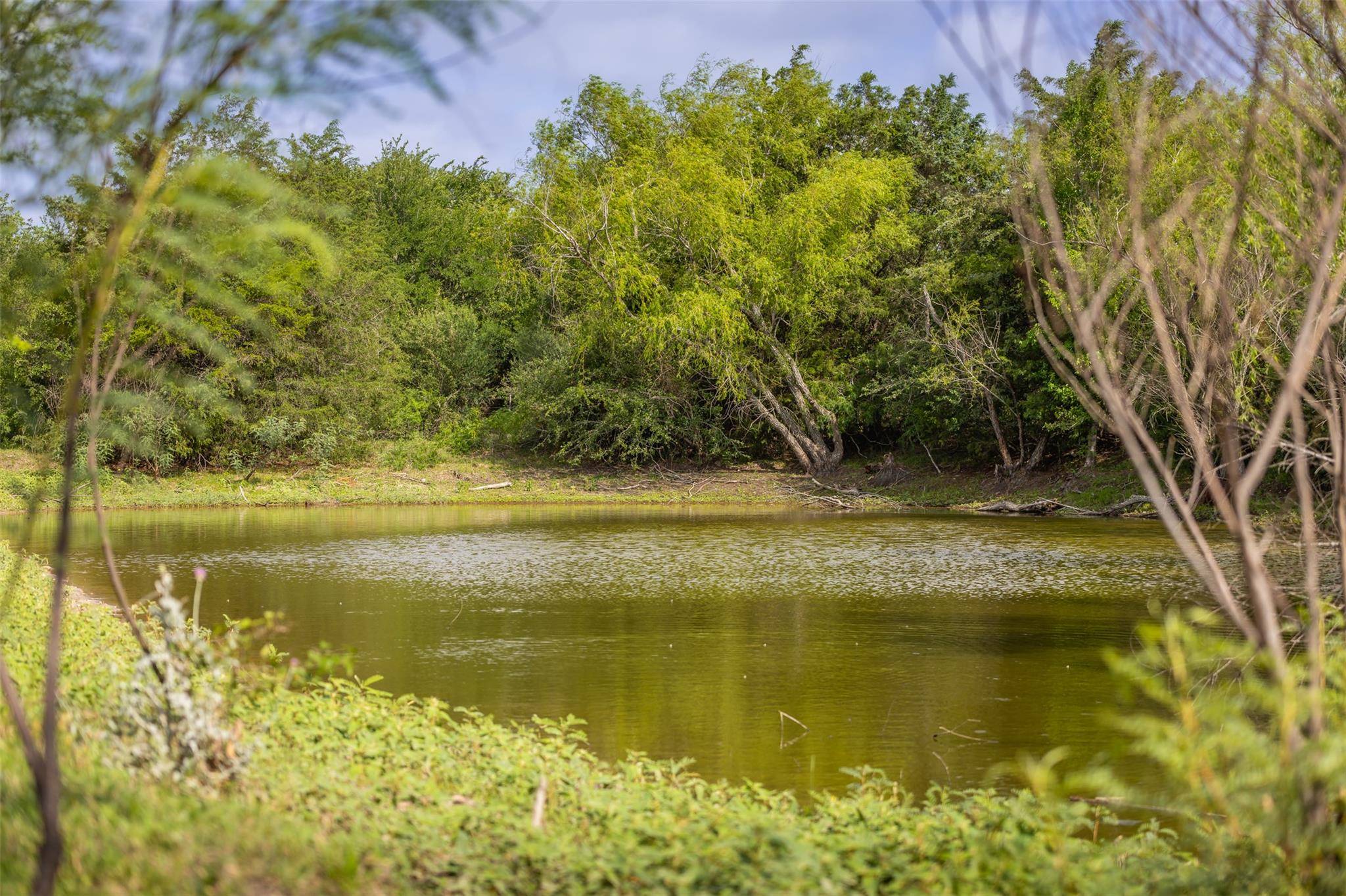Giddings, TX 78942,TBD Highway 77 S