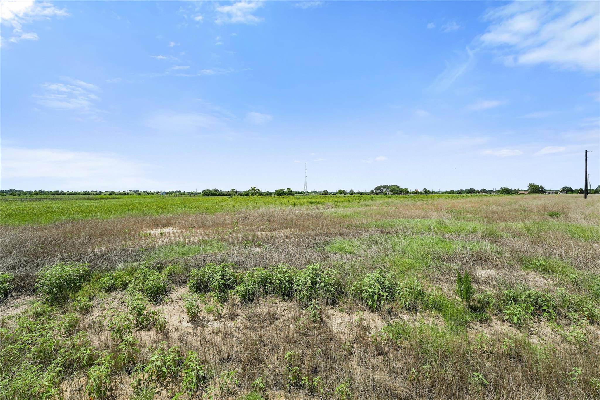 Bellville, TX 77418,1362 Saddleback DR
