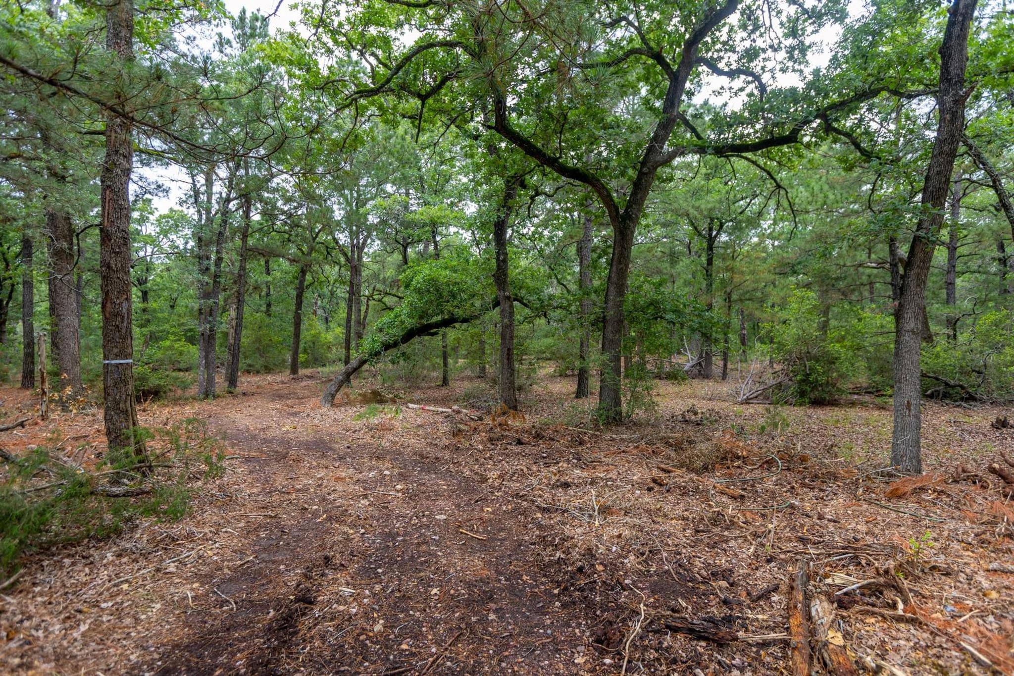 Paige, TX 78659,492 S Old Potato RD