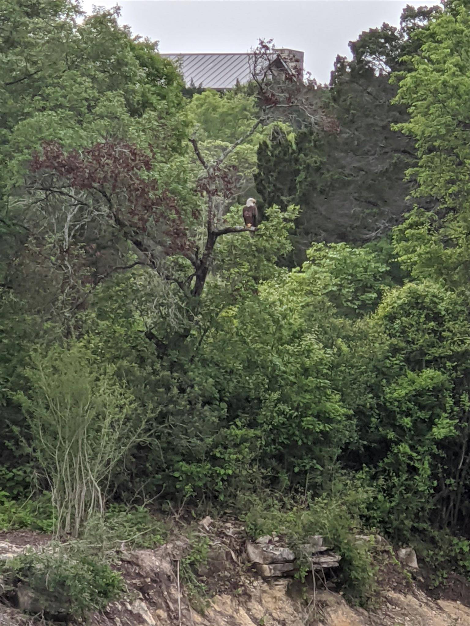 Lago Vista, TX 78645,19529 Adrian-5.53 Acres WAY