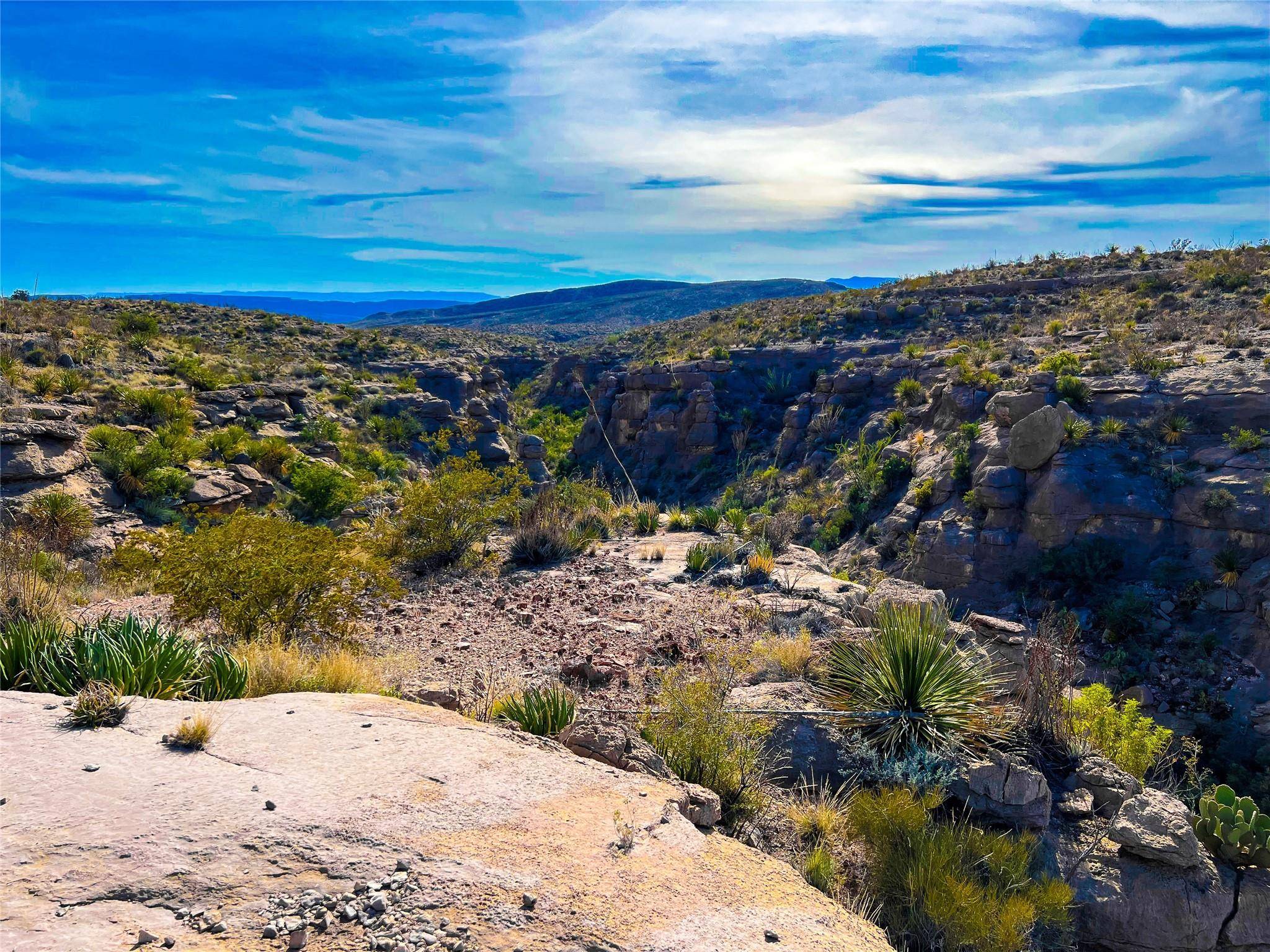 Terlingua, TX 79852,52742 Mariposa Mine RD