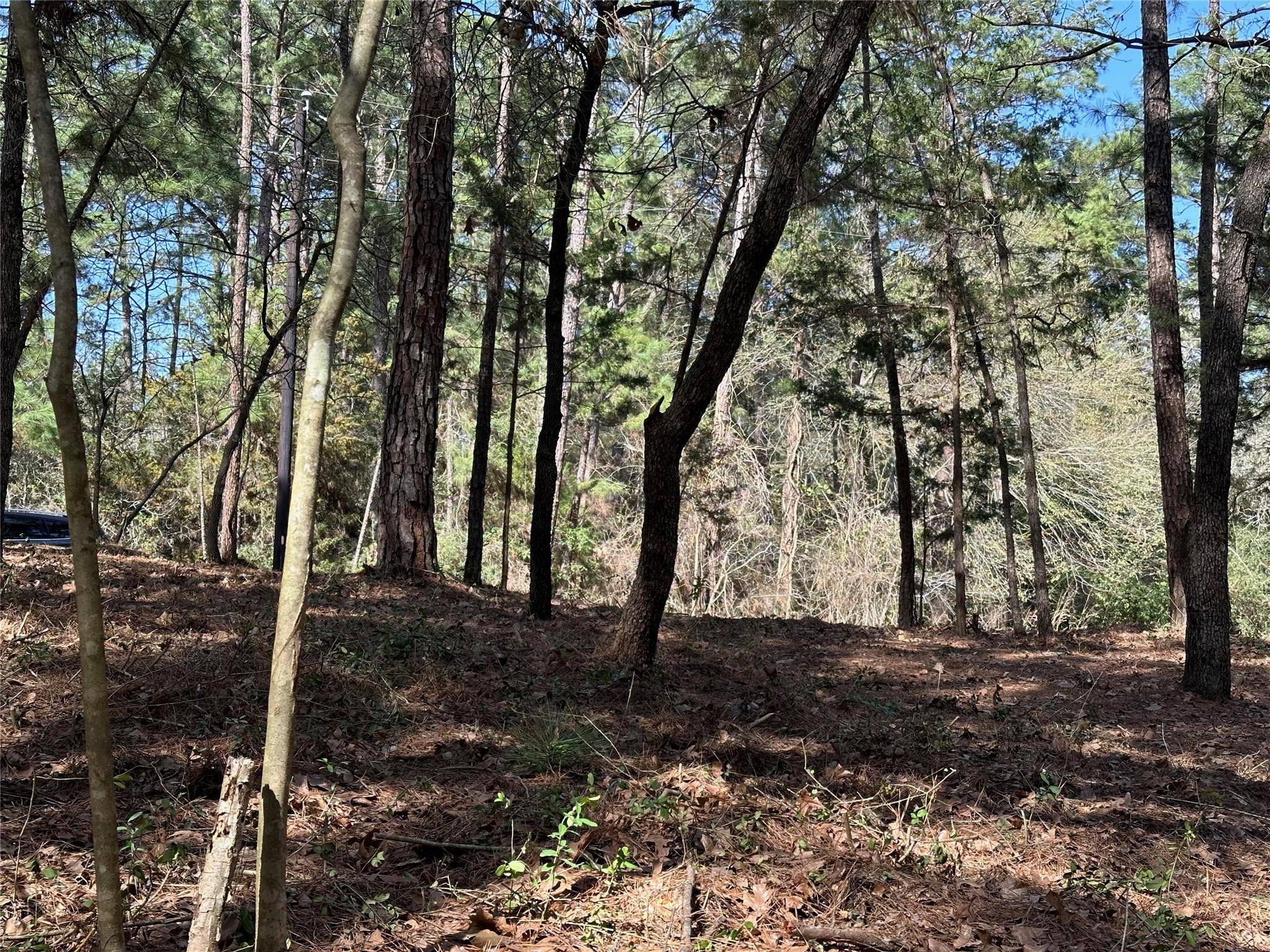 Bastrop, TX 78602,TBD Kamakoa LN