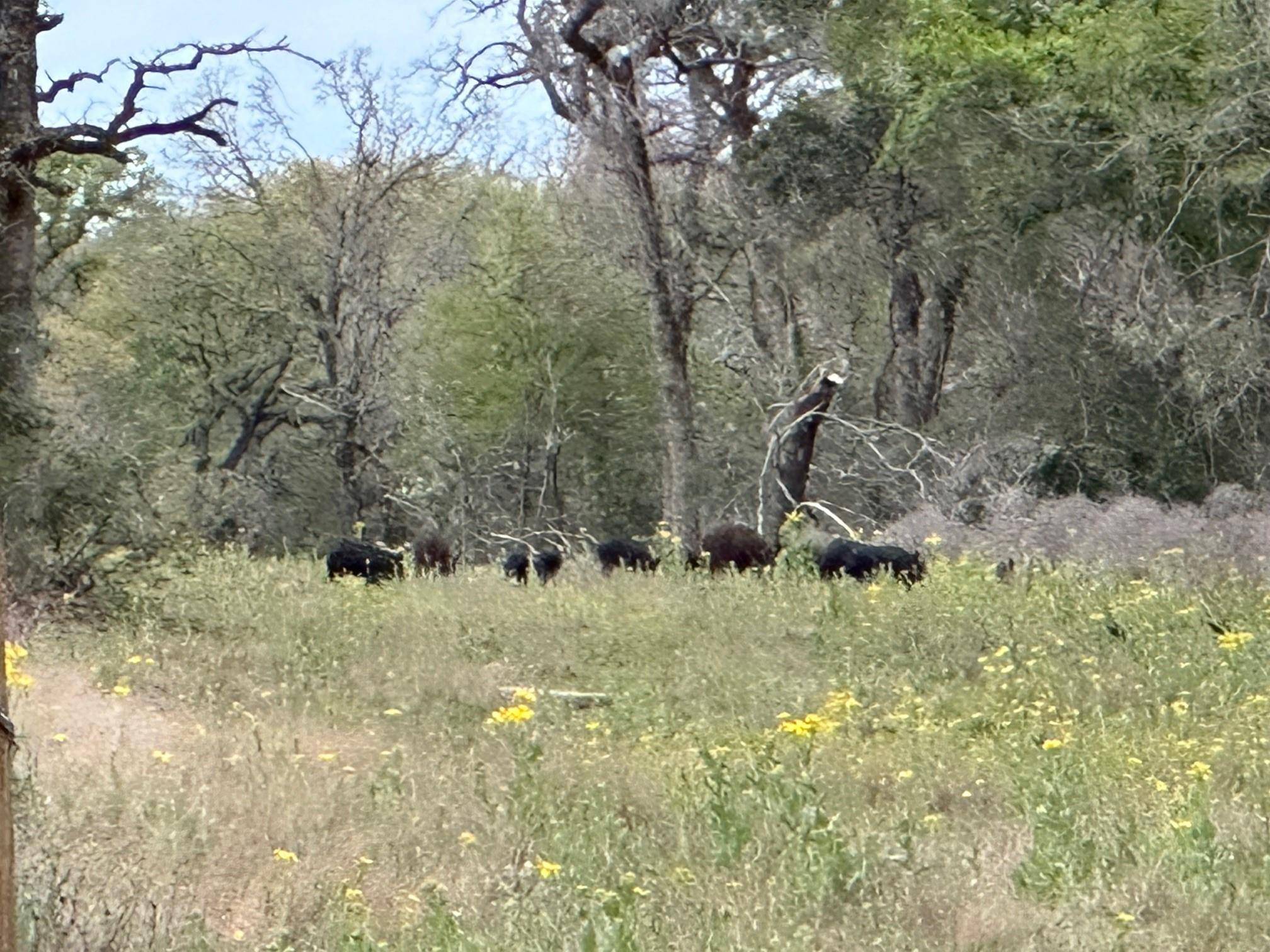 Gause, TX 77857,848 County Road 359