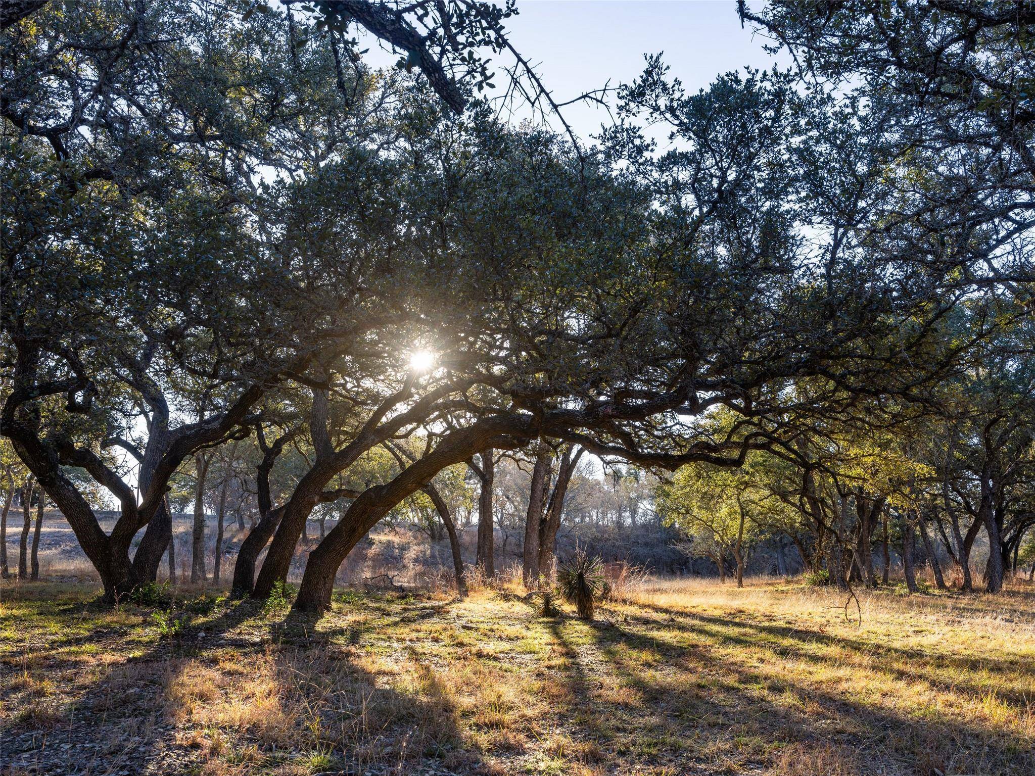 Blanco, TX 78606,6.56 Acres 1623 RD