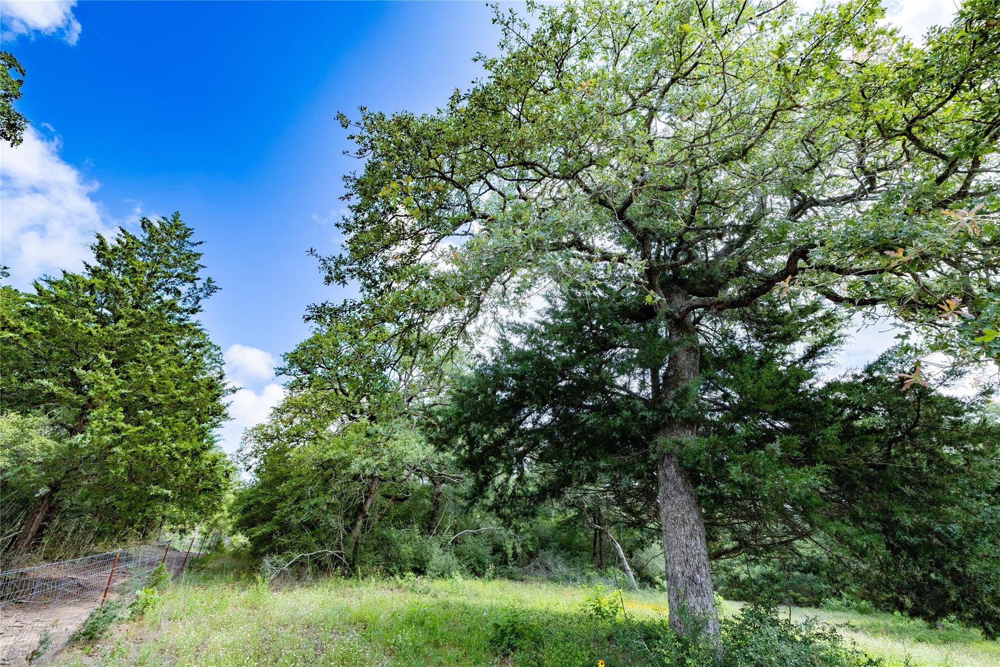 Caldwell, TX 77836,1202 Moonglow LN