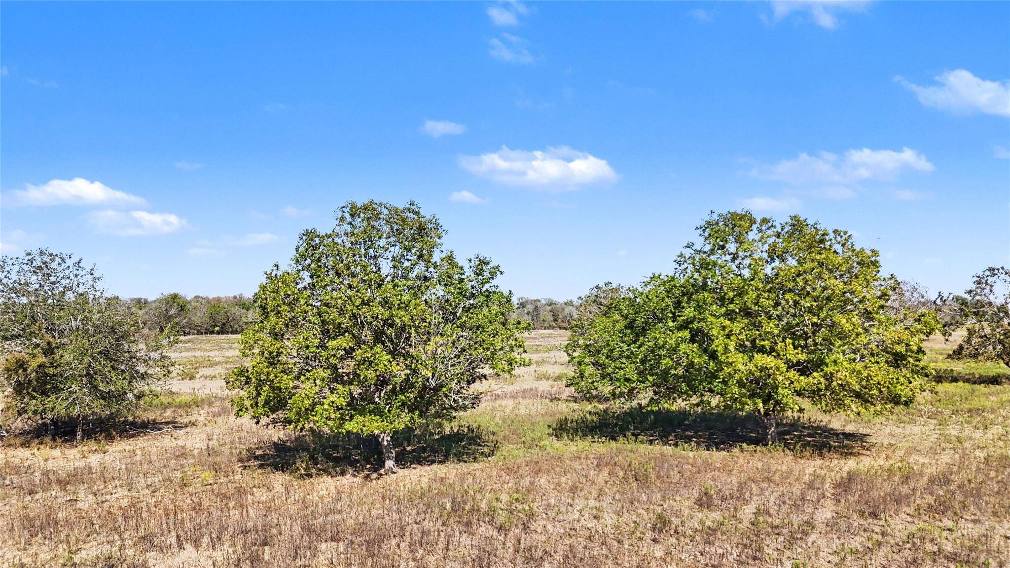 Dale, TX 78616,Tract 3 FM 3158