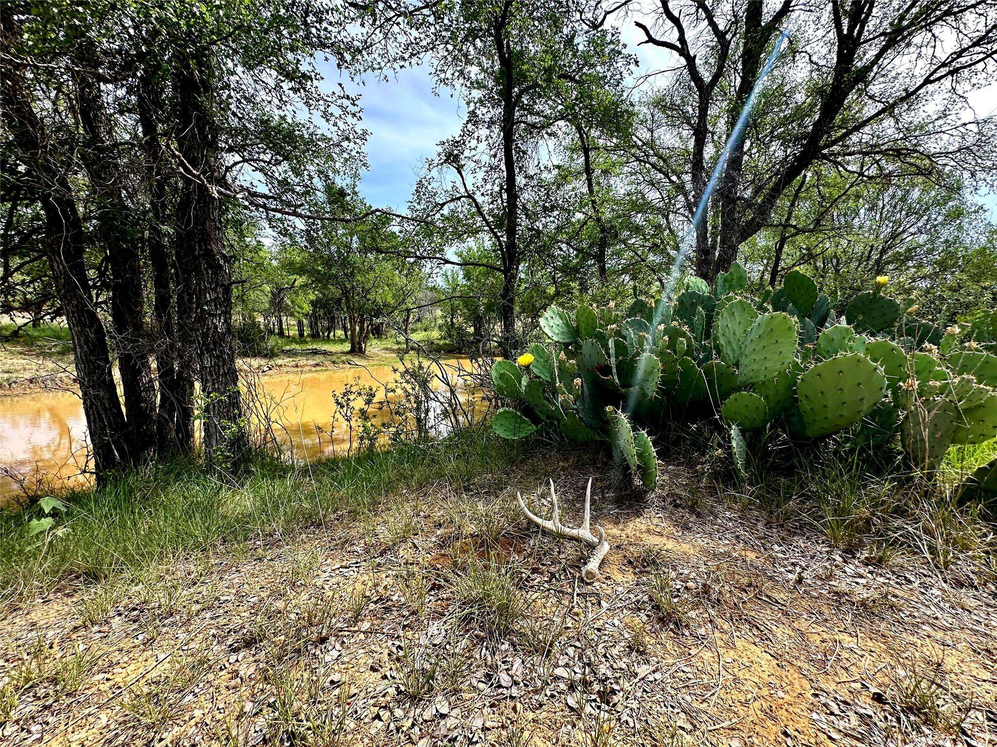San Saba, TX 76877,392 County Road 230