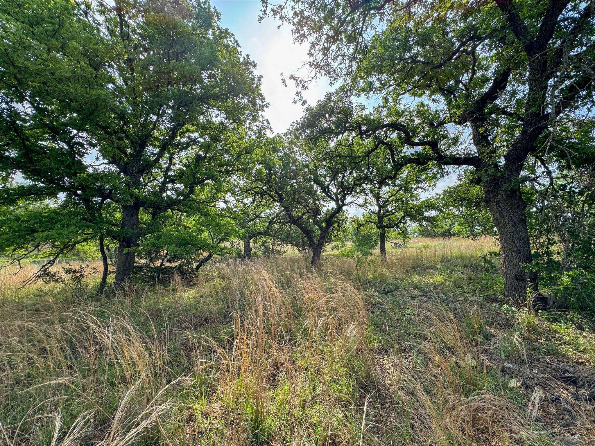Mason, TX 76856,TBD Fly Gap RD