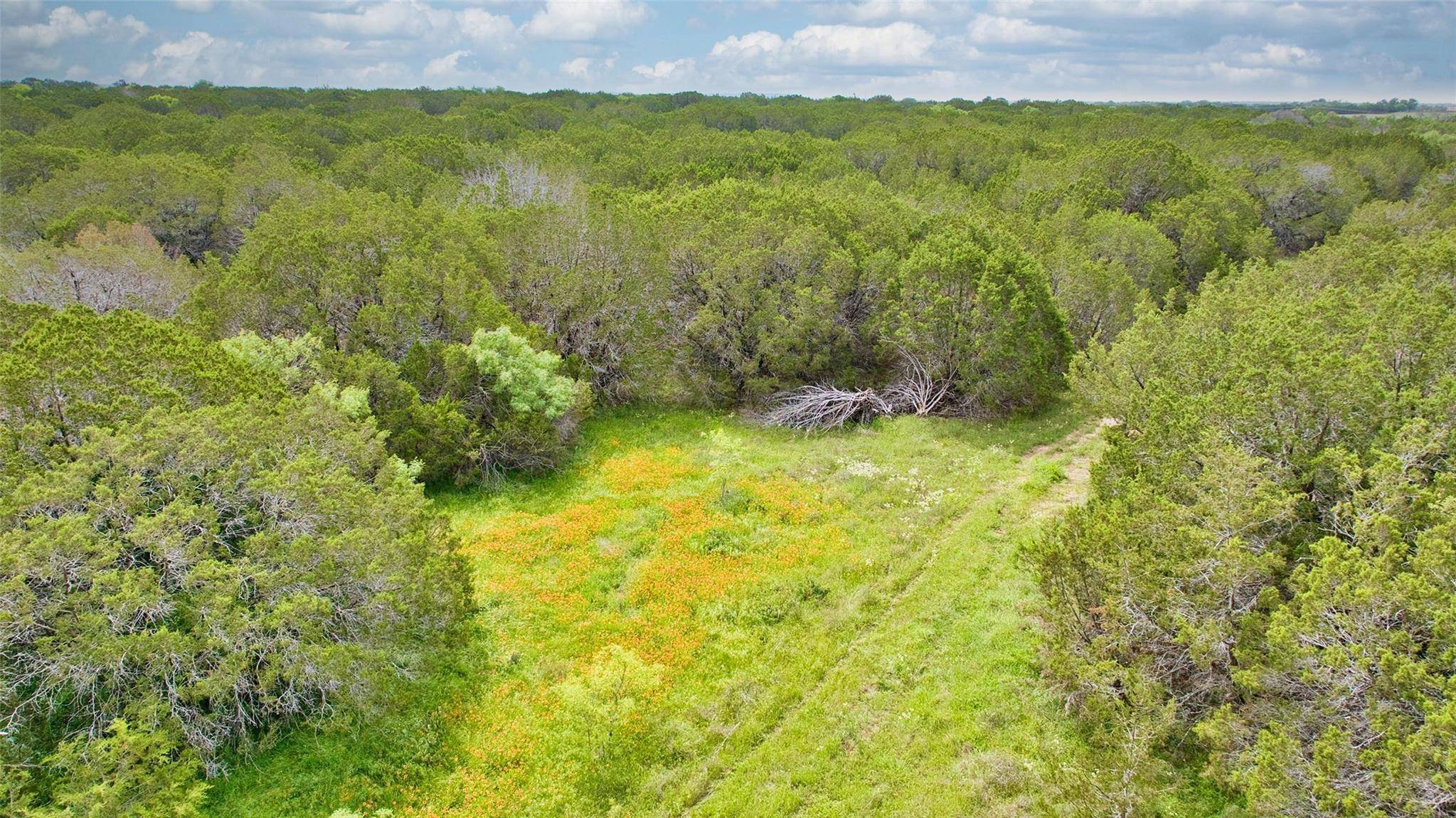 Lometa, TX 78653,Lot 3, 5060 W. Hwy 190