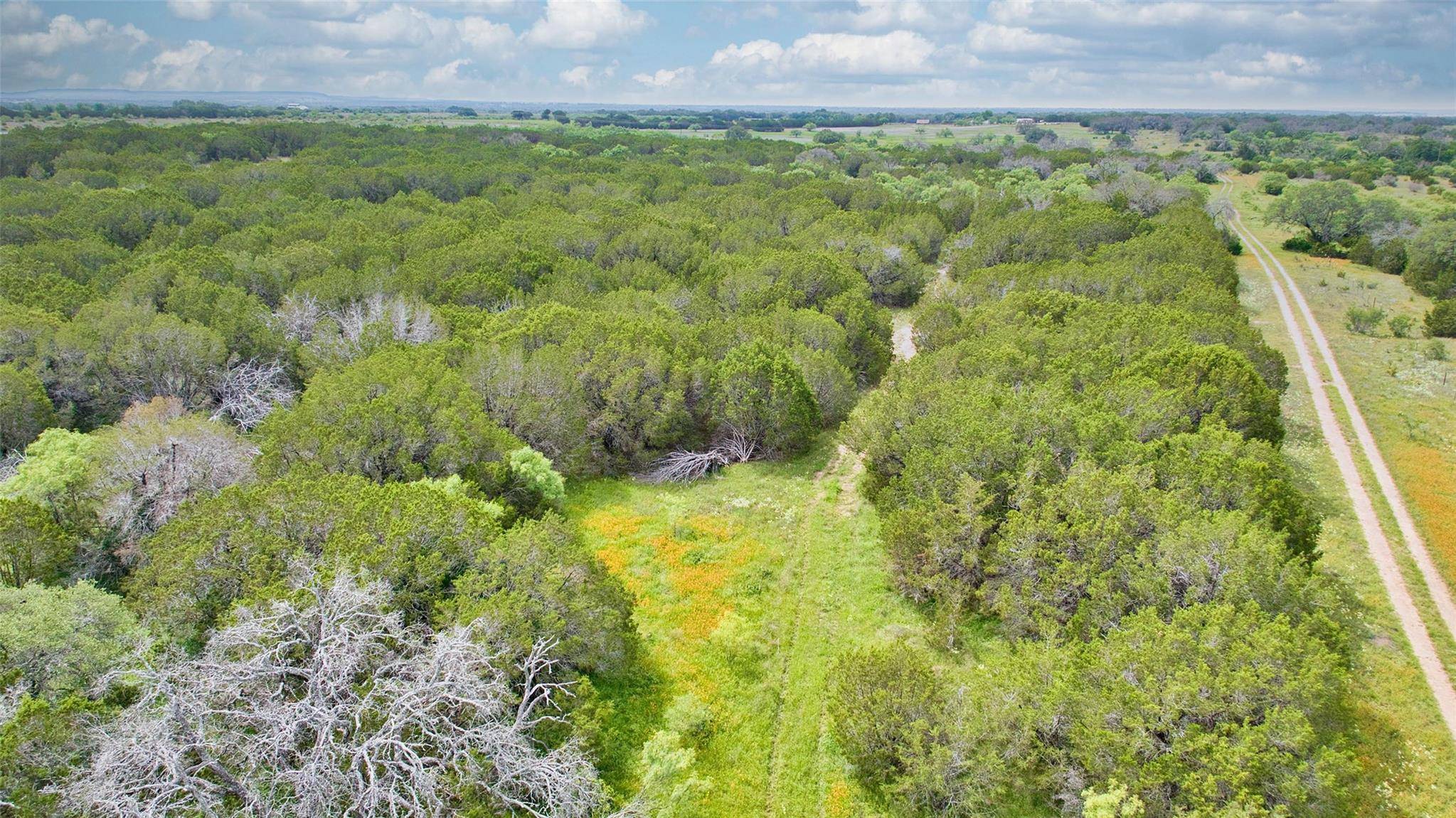 Lometa, TX 78653,Lot 3, 5060 W. Hwy 190