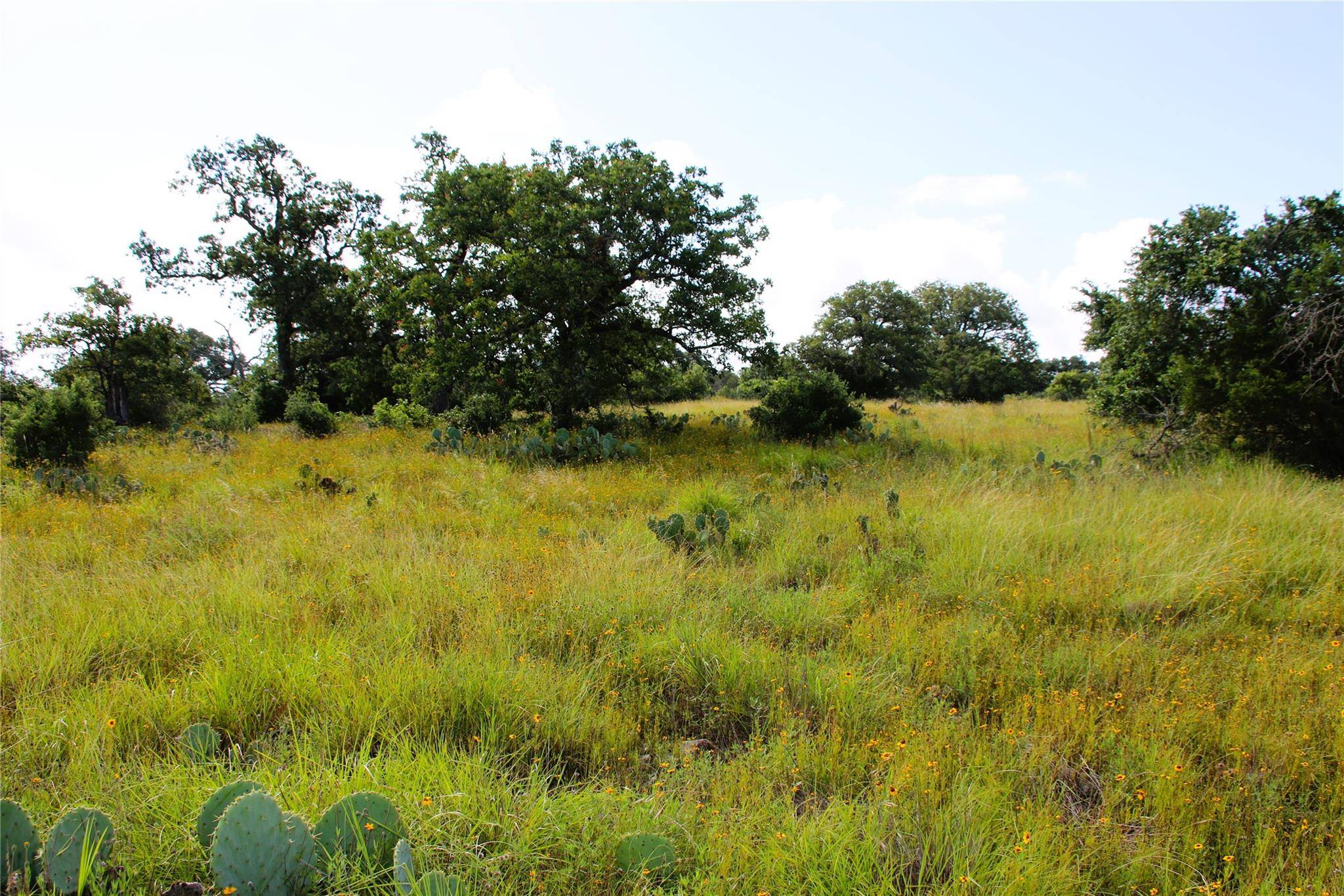 Round Mountain, TX 78663,Lot 5 Comanche RDG