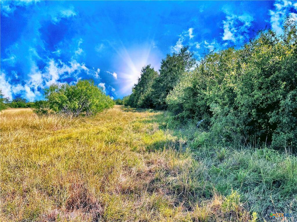 Luling, TX 78648,5350 Soda Springs RD