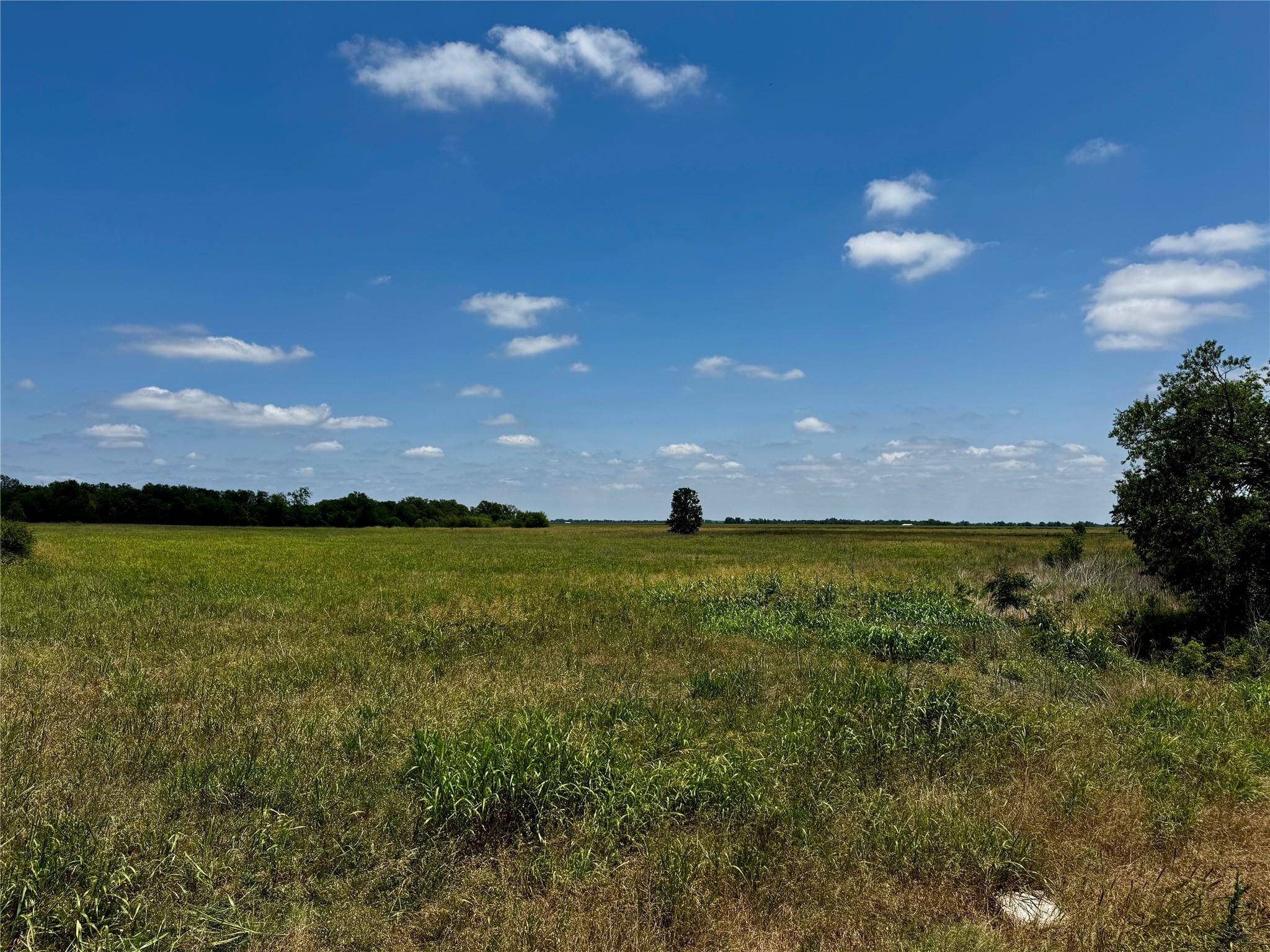 Taylor, TX 76574,3645 Fm 3349