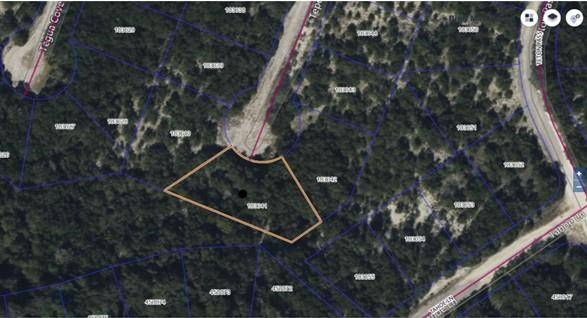 Lago Vista, TX 78645,8700 Tepee CV
