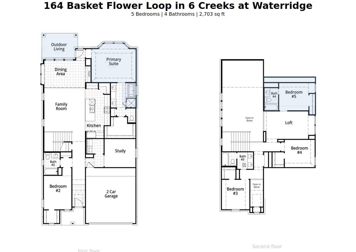Kyle, TX 78640,164 Basket Flower LOOP