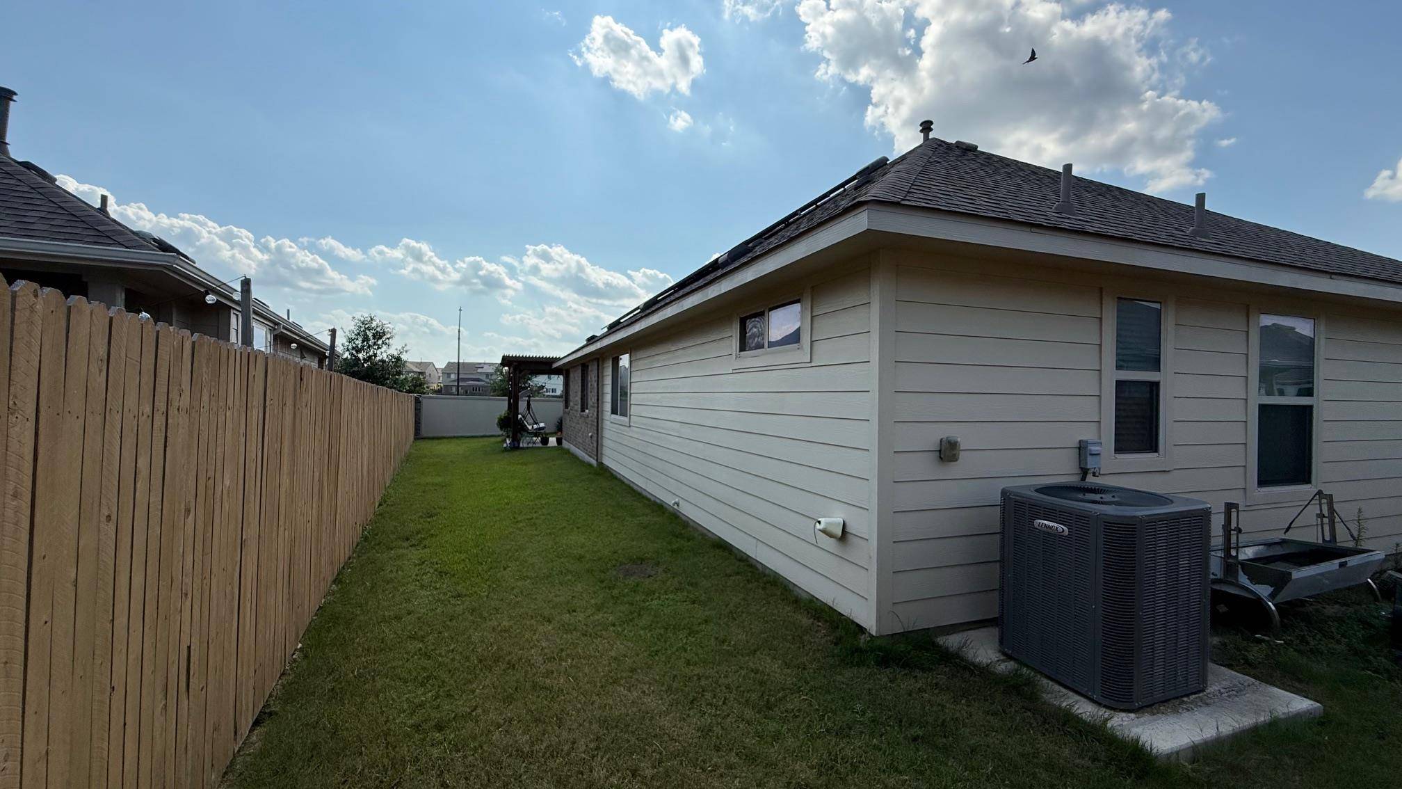 Georgetown, TX 78626,417 Arabian Colt DR