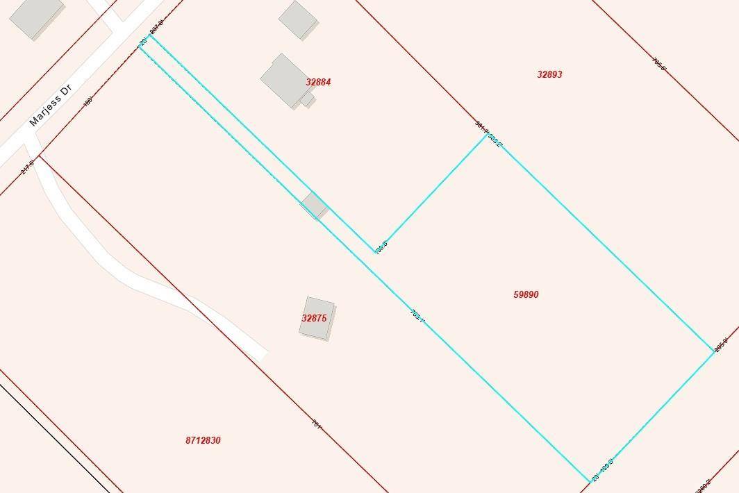 Cedar Creek, TX 78612,TBD Marjess DR