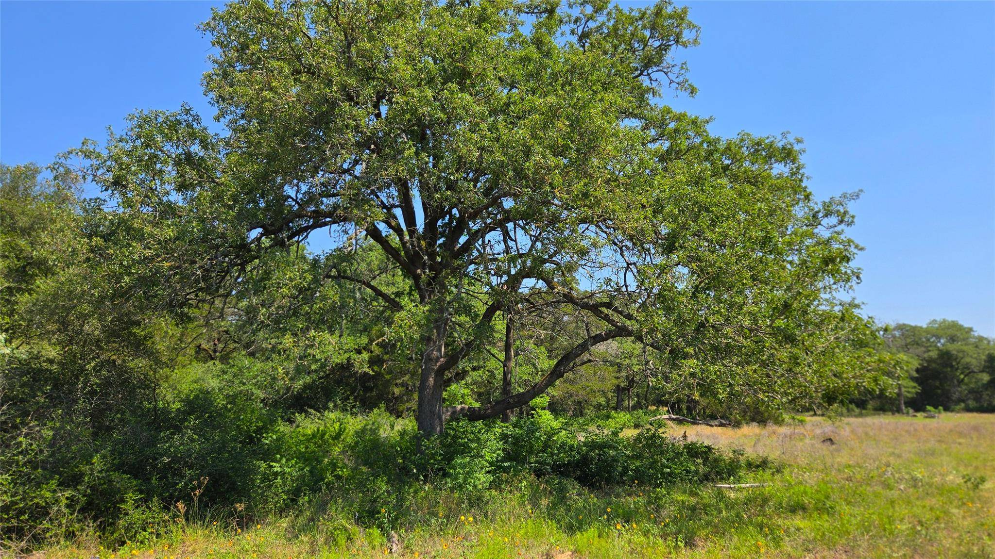 Red Rock, TX 78662,277 Meuth Cemetery RD