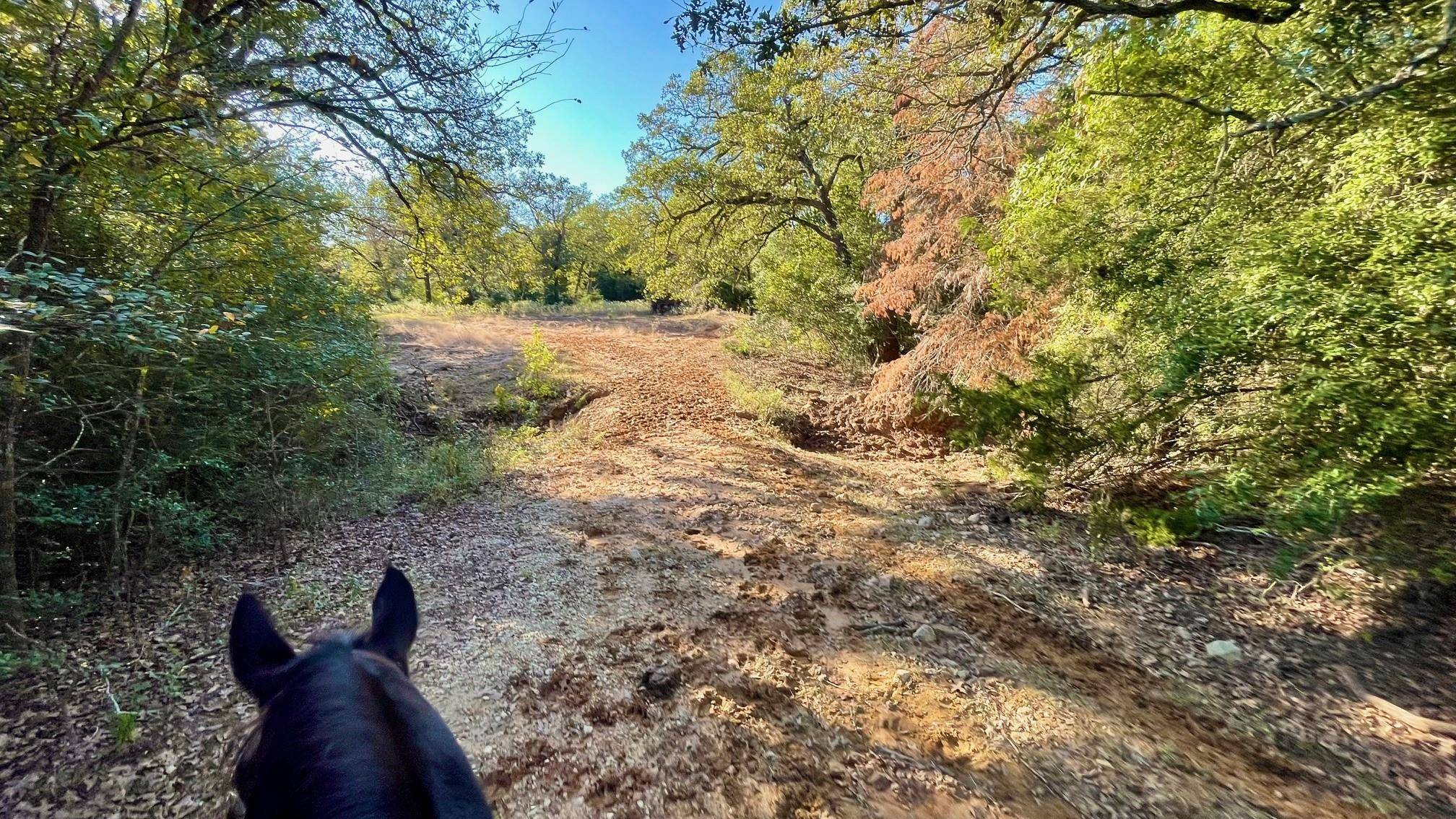 Franklin, TX 77856,9201 FM 2096 (+/-44.13 acres)