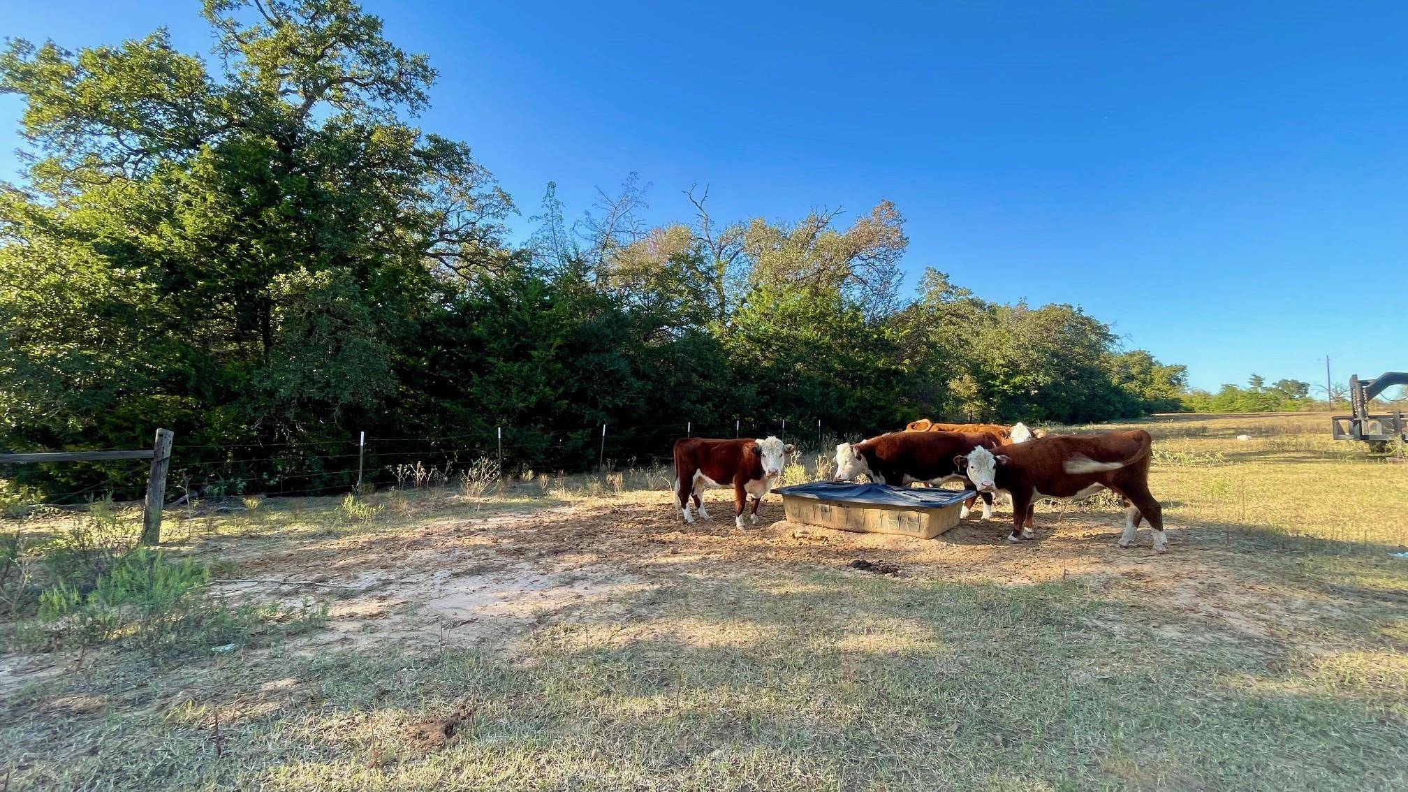 Franklin, TX 77856,9201 FM 2096 (+/-44.13 acres)