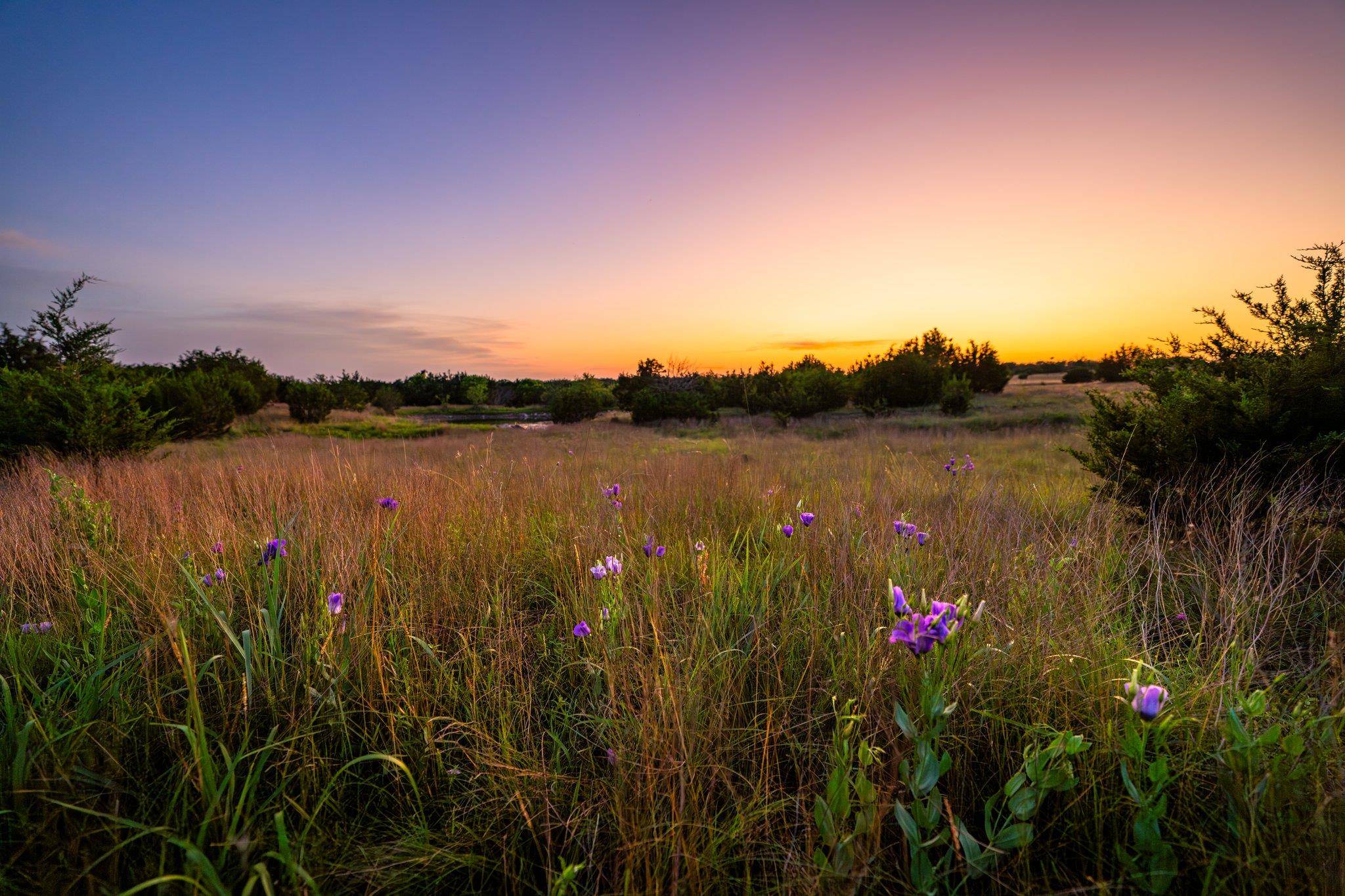 Lampasas, TX 76550,1305 County Road 3800
