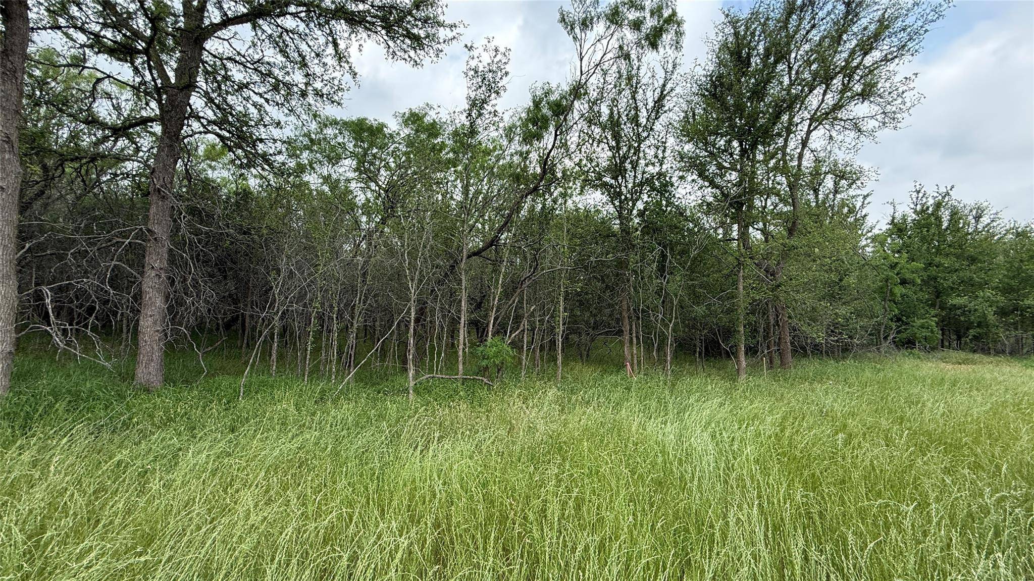 Bastrop, TX 78602,131 W Pauwela LN