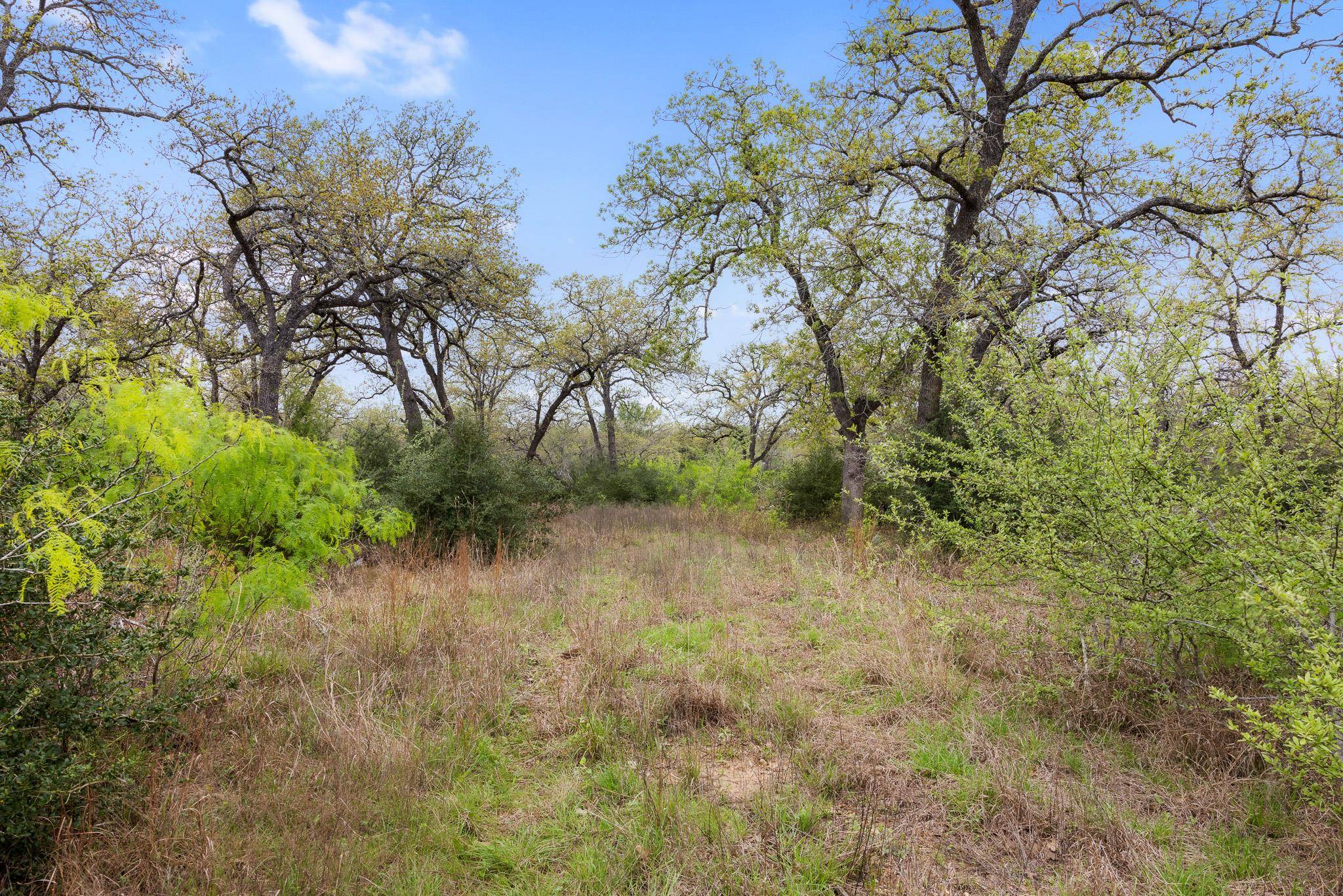 Cistern, TX 78941,1605 Lariet DR