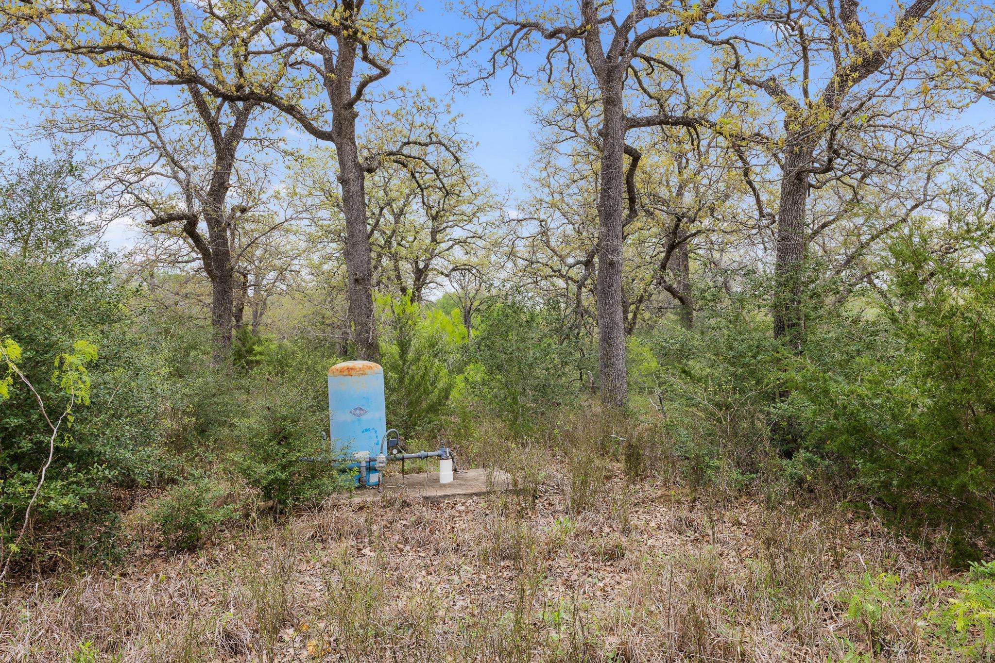 Cistern, TX 78941,1605 Lariet DR