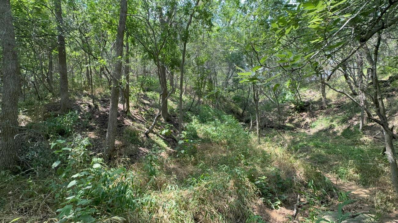 Bastrop, TX 78602,Lot 649 Kaukonahua LN