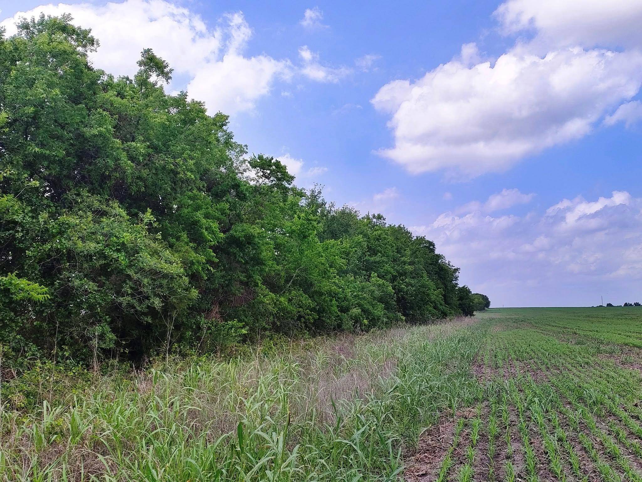 Thorndale, TX 76577,TBD FM 3061
