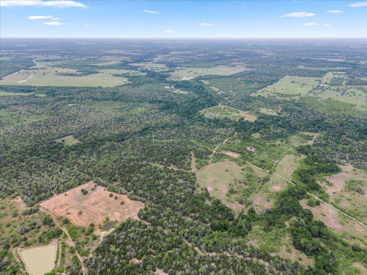 Flatonia, TX 78941,TBD 207.5 +/- ACRES ANCHOR RANCH LOOP