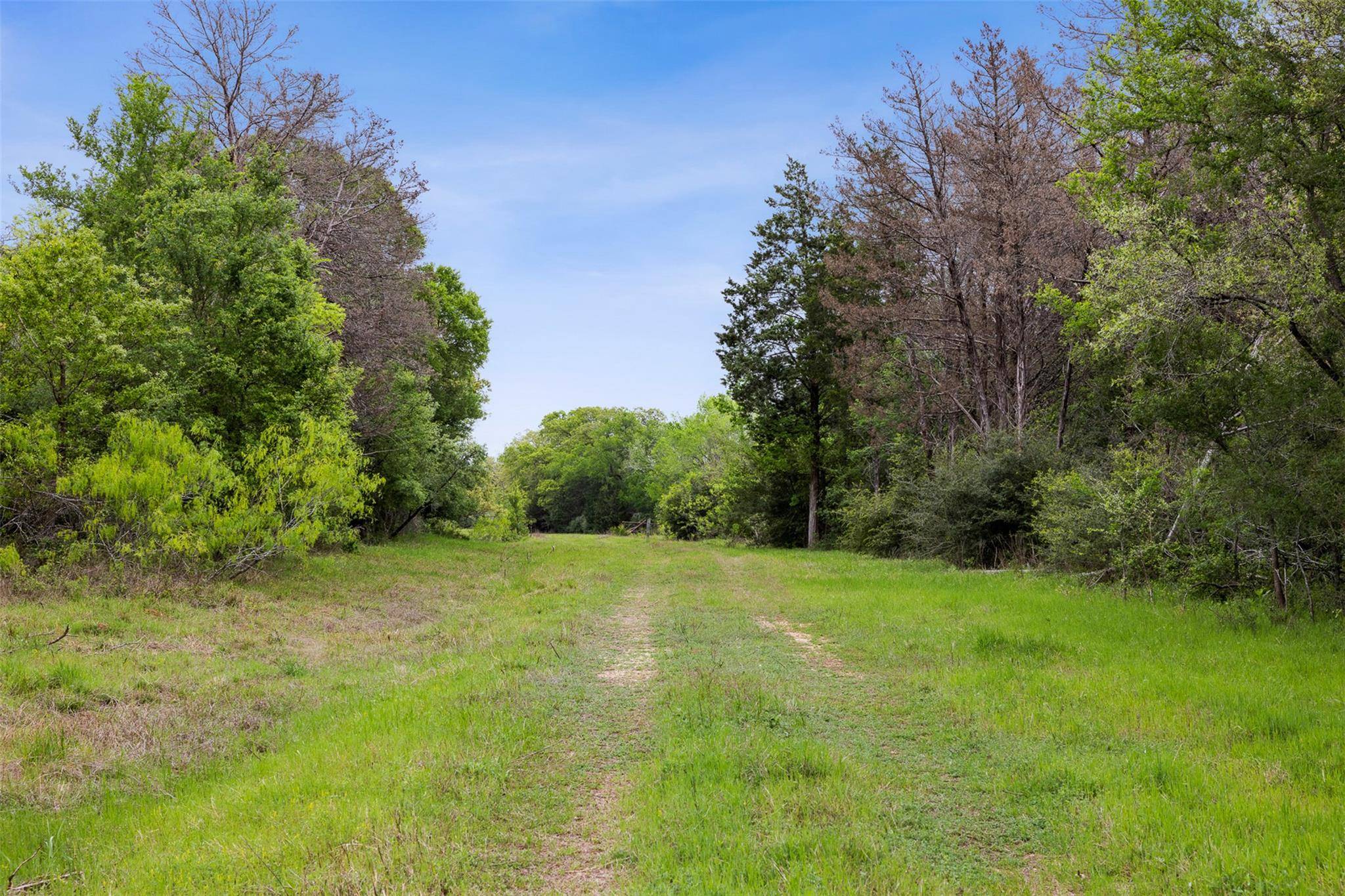 Lexington, TX 78947,4822 Fm 1624 RD