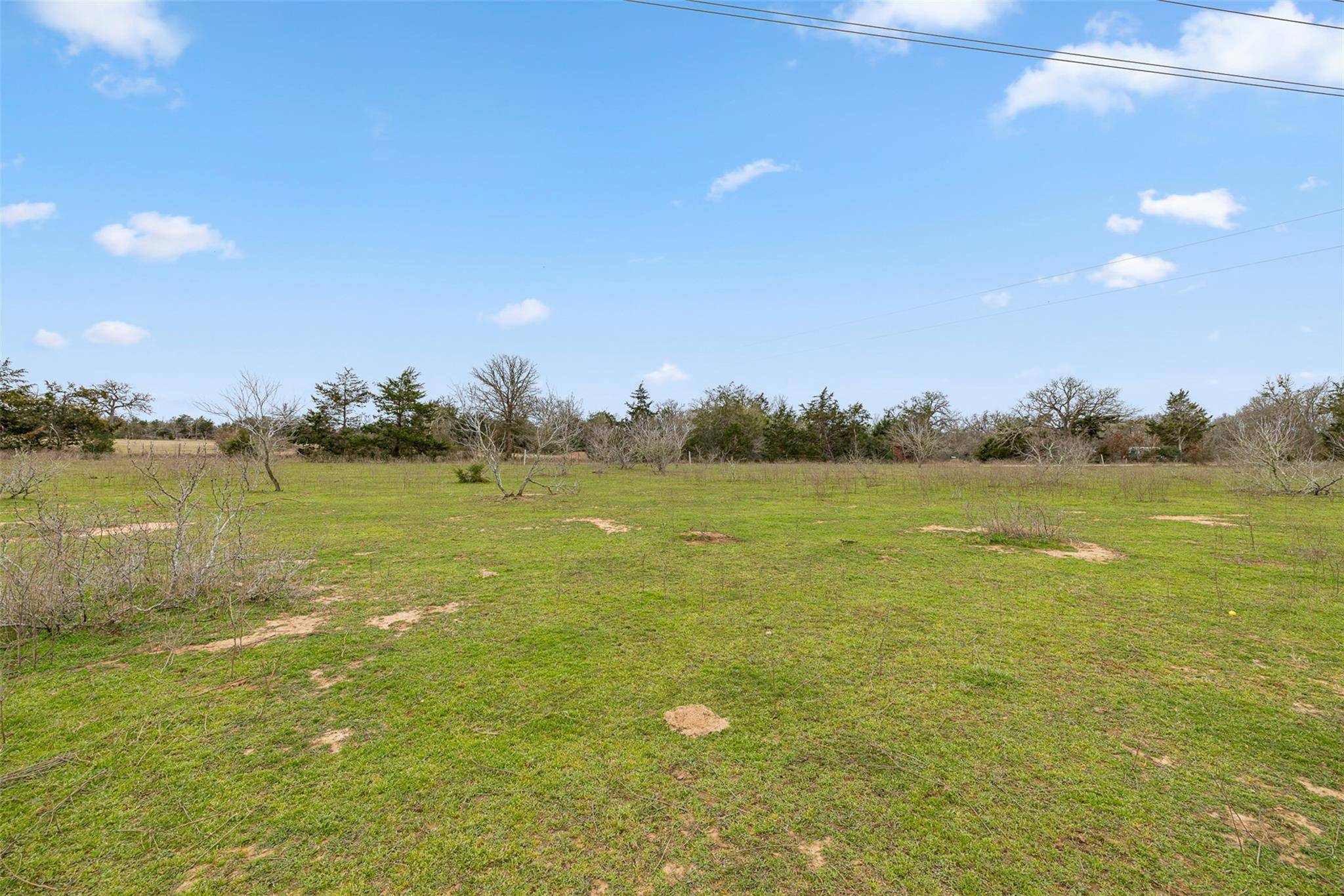 Paige, TX 78659,533 L2 Grassyville RD