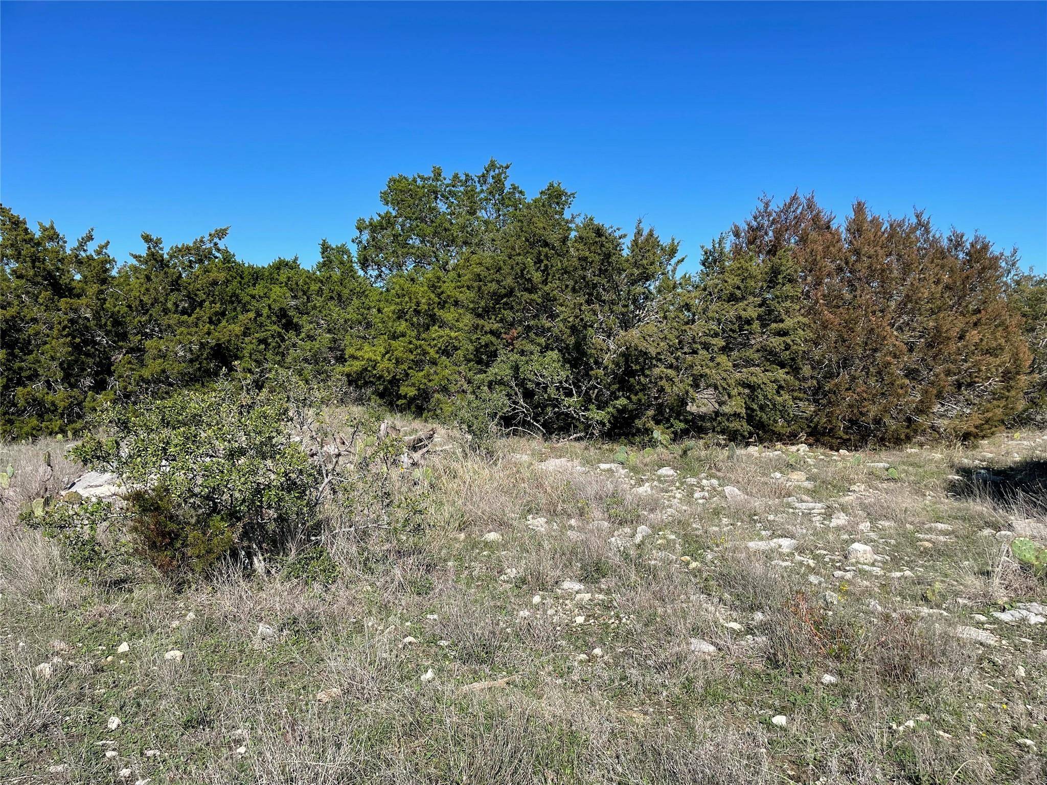 Bertram, TX 78605,109 Sunset Peak