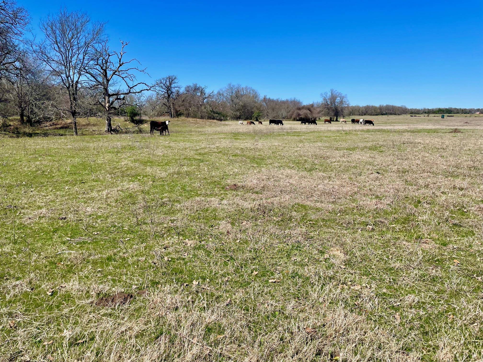 Hearne, TX 77859,TBD 2 Templeton DR