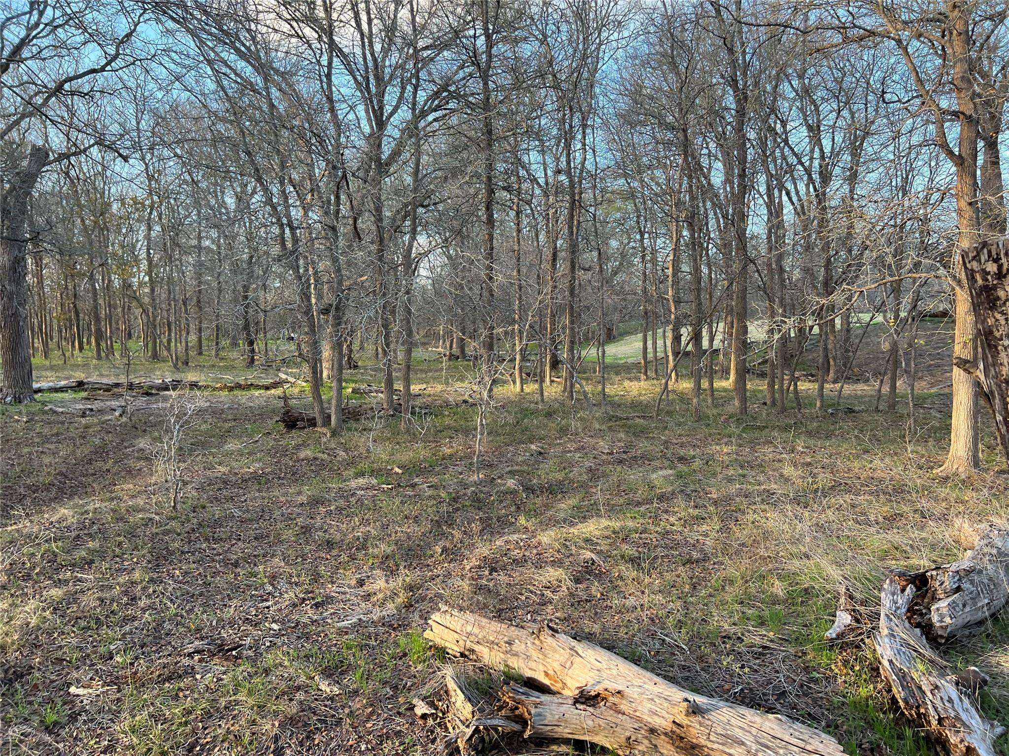 Lockhart, TX 78644,112 Baylen Clifton LN