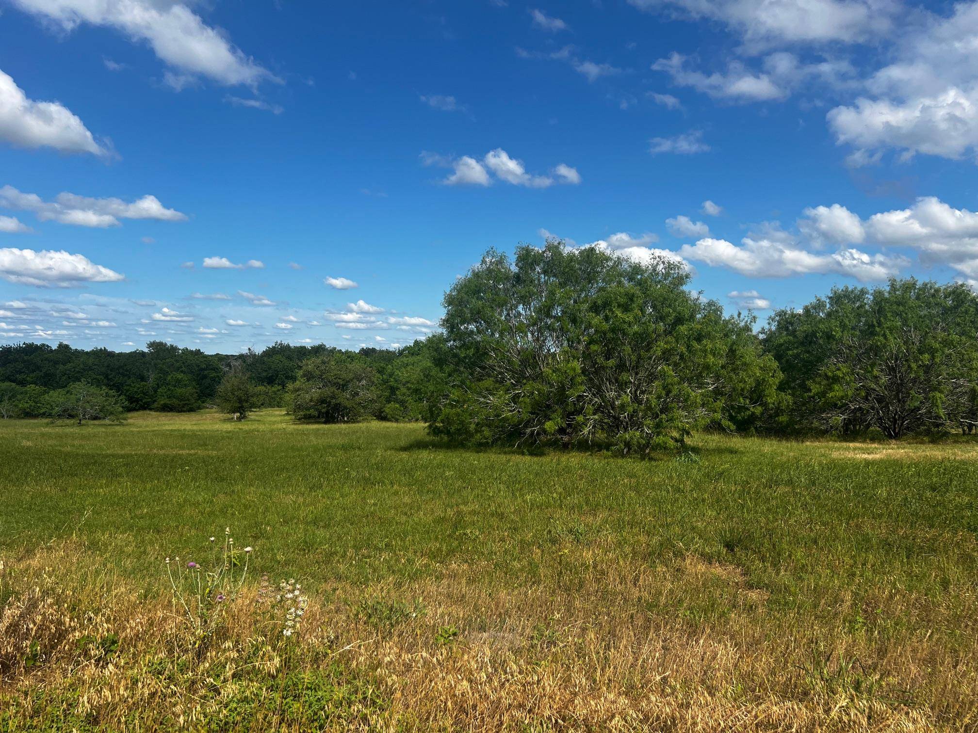 Schulenburg, TX 78956,Lot 5 High Meadow Court East