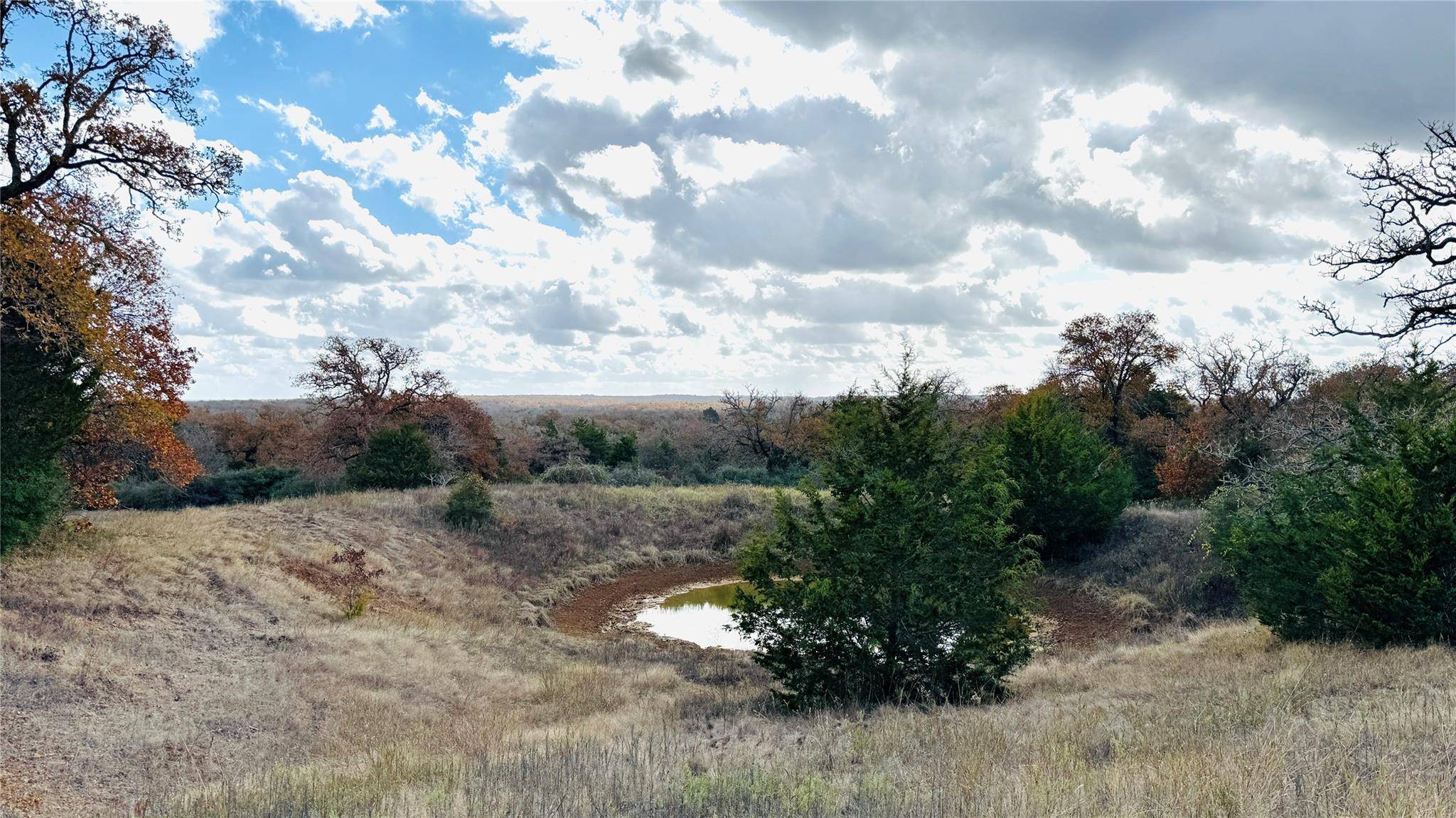 Rockdale, TX 76567,2563 County Road 326