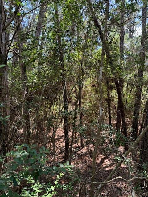Bastrop, TX 78602,Lot 250 Hekili DR