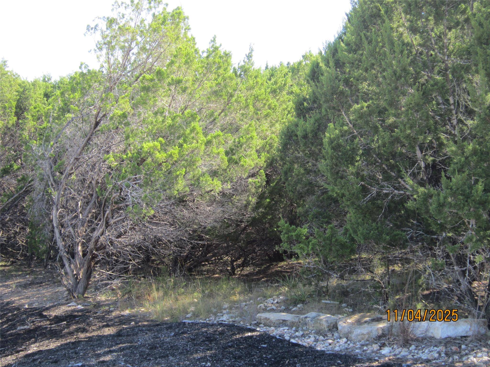 Lago Vista, TX 78645,20903 Oak Dale DR