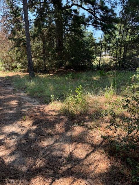 Bastrop, TX 78602,Lot 1280 S Kaupo DR